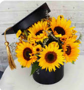 Arreglo de girasoles para graduación