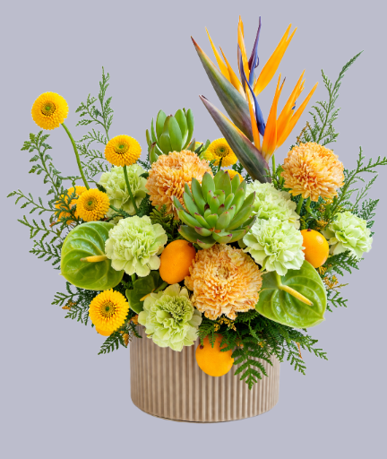 Arreglo Tropical Elegante