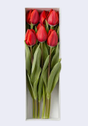 Tulipanes rojos en caja