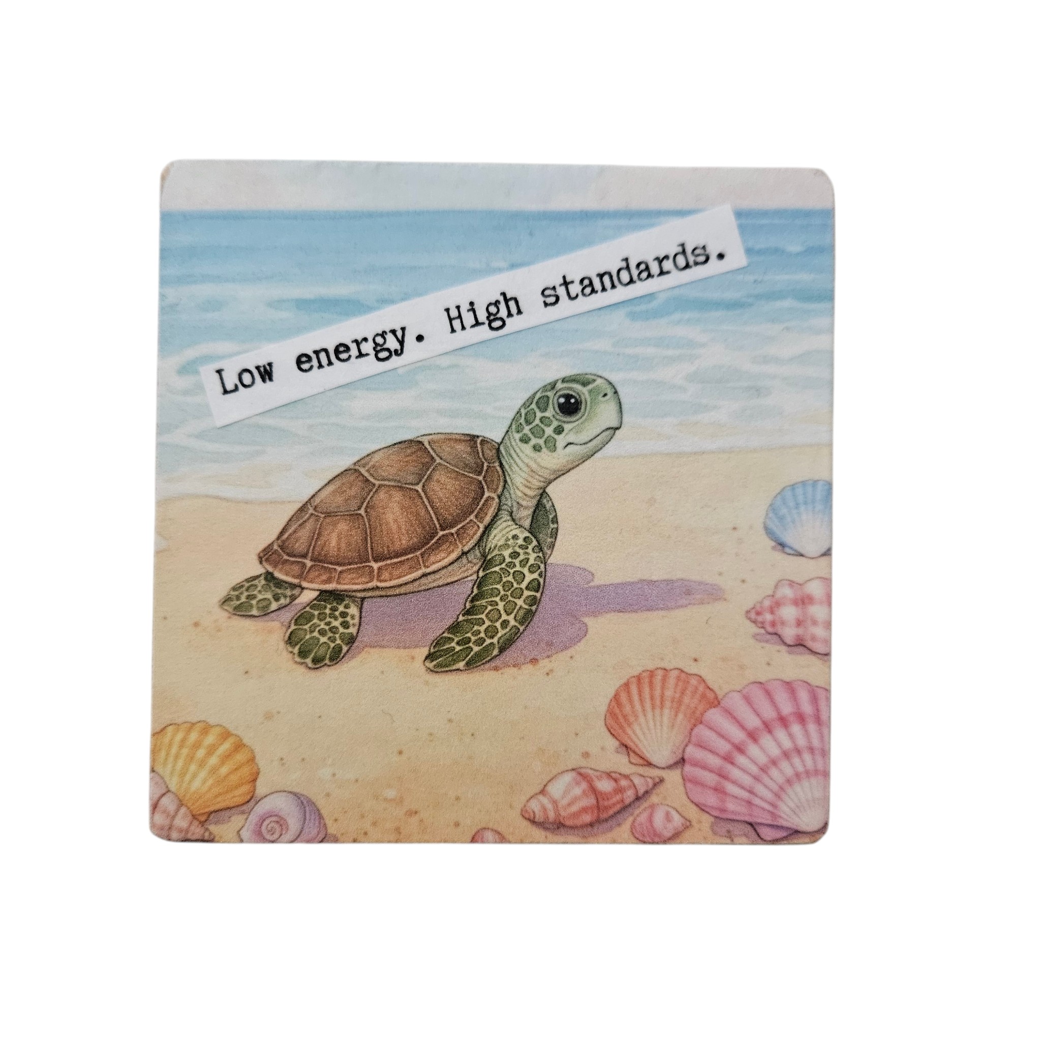 Motivational Turtle Desk Plaque