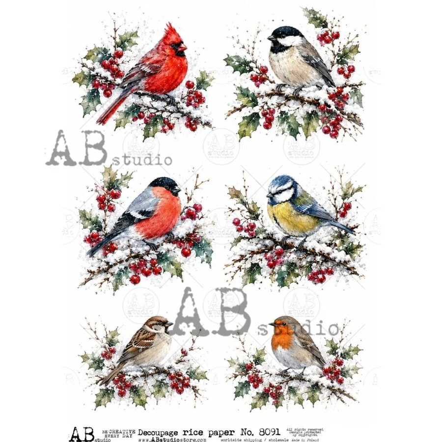 A4 Winter Garden Birds AB Studios Rice Paper
