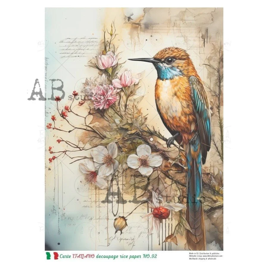 The Hummingbird Carte Italiano 92
