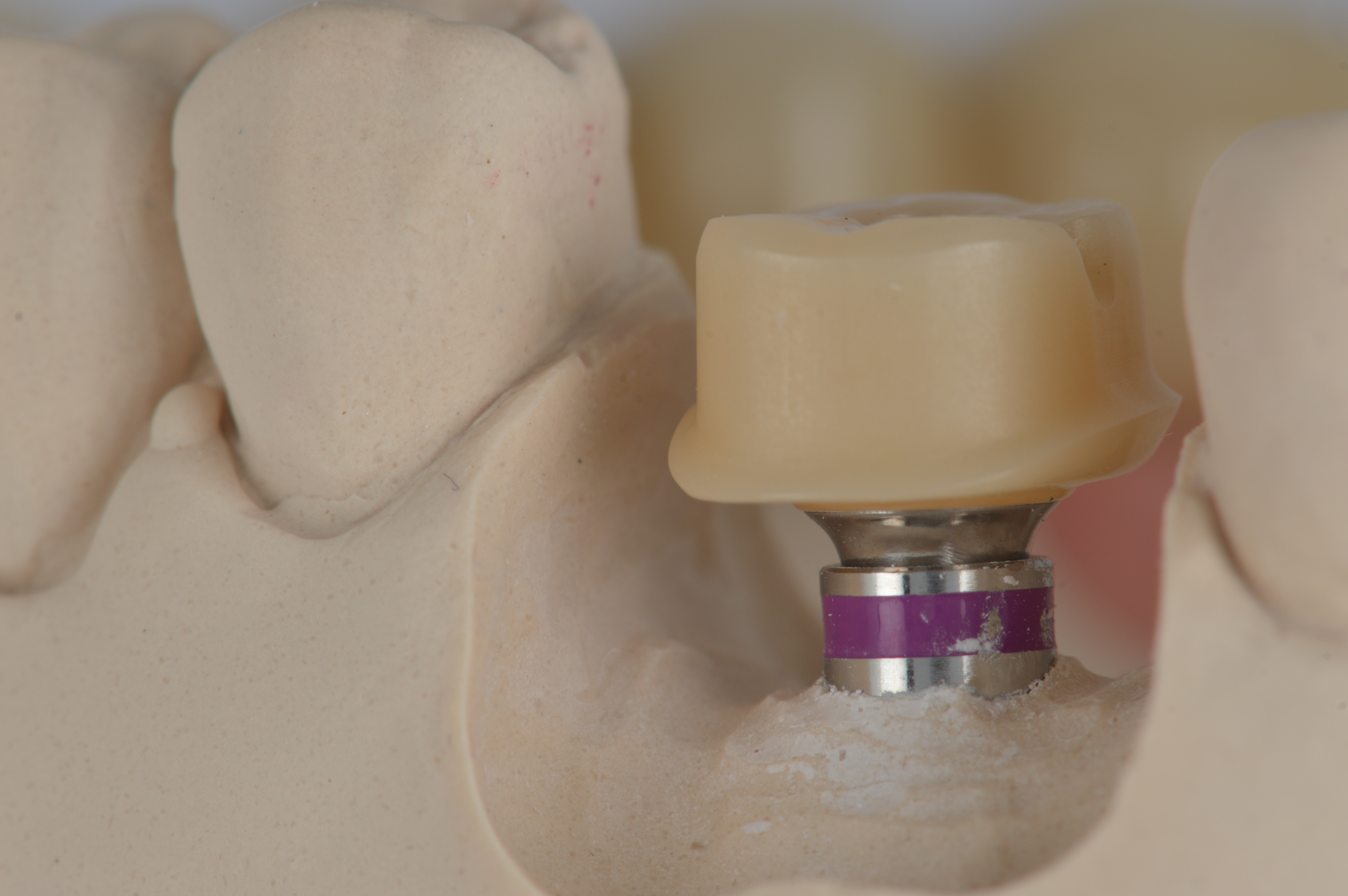 Intro language tutoring session