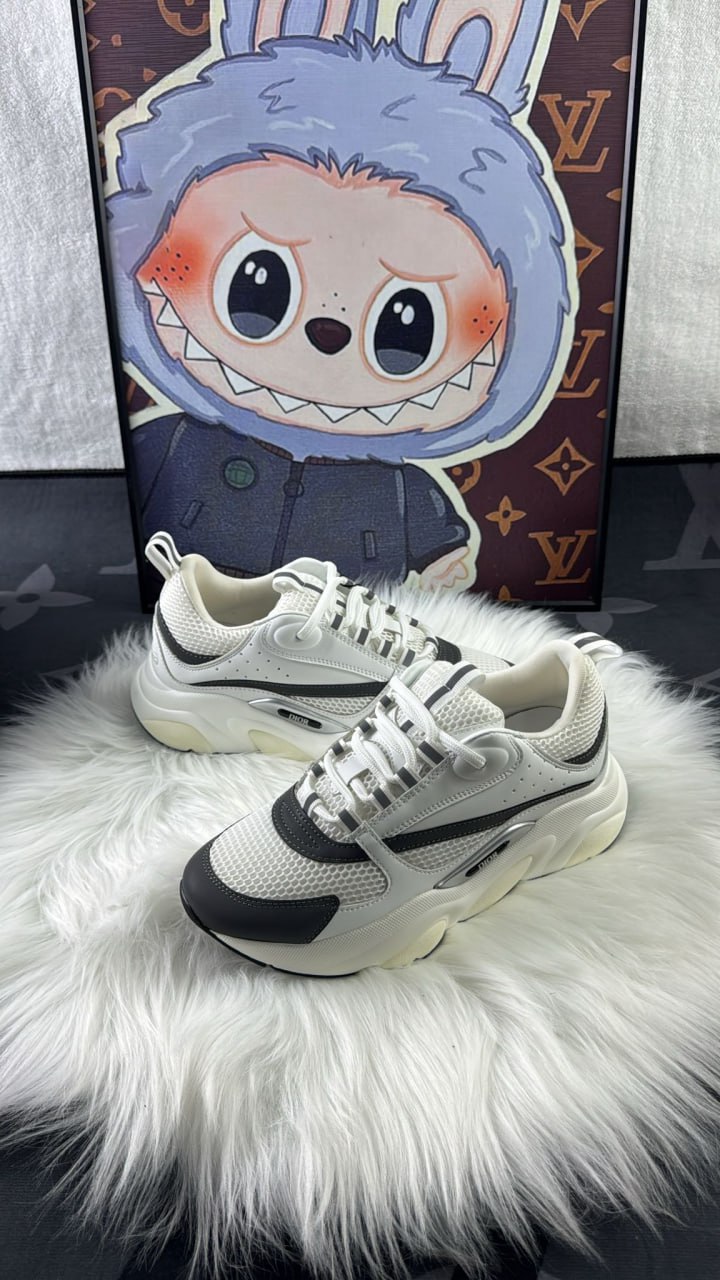 DiorB22 White