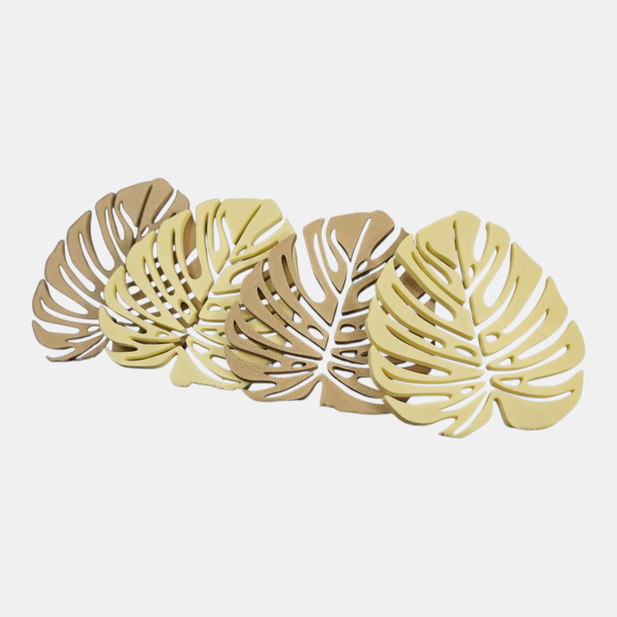 Set de portavasos hoja monstera neutro