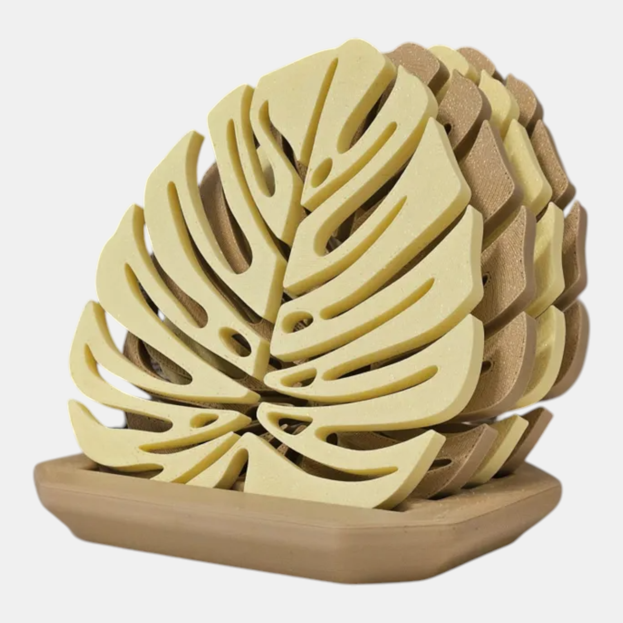 Set de portavasos hoja monstera neutro