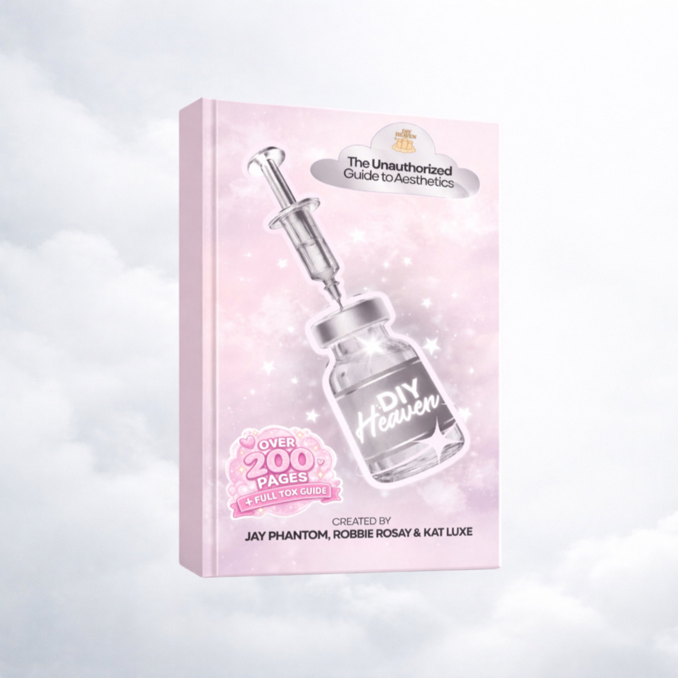 DIY Heaven: The Unauthorized Guide to Aesthetics (Signed Copy)