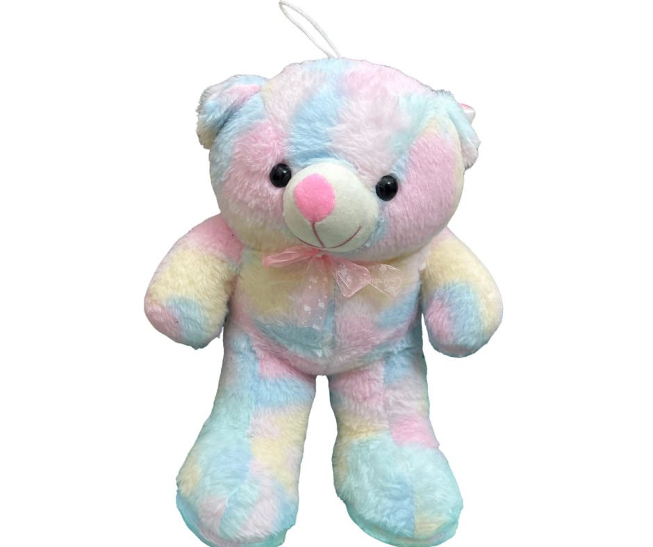 Multi Color Teddy