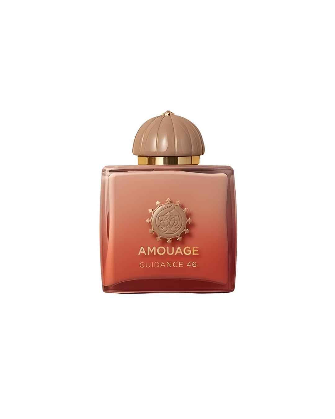 Amouage Guidance 5ml Decant