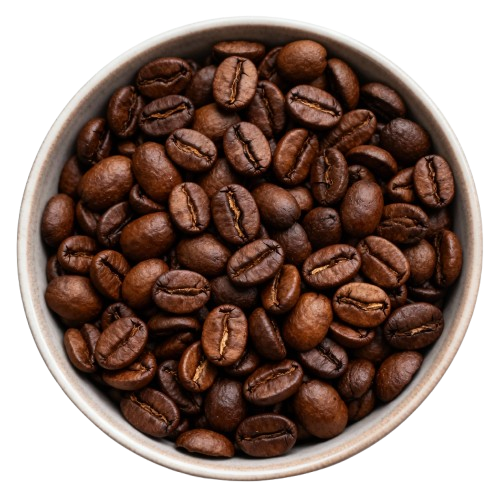 Coffee Arabica