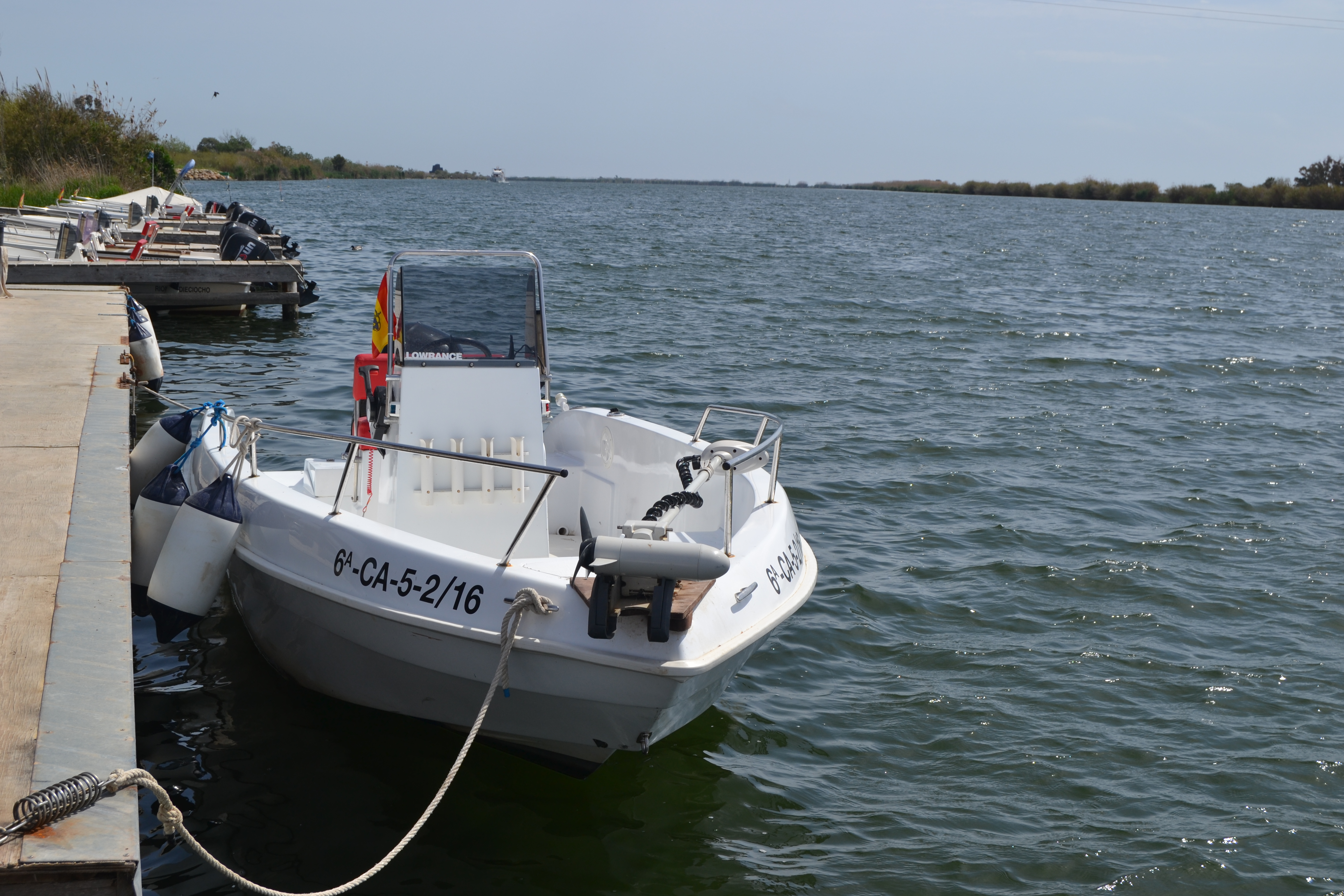 Barco Coral 115 CV 1/2 dia