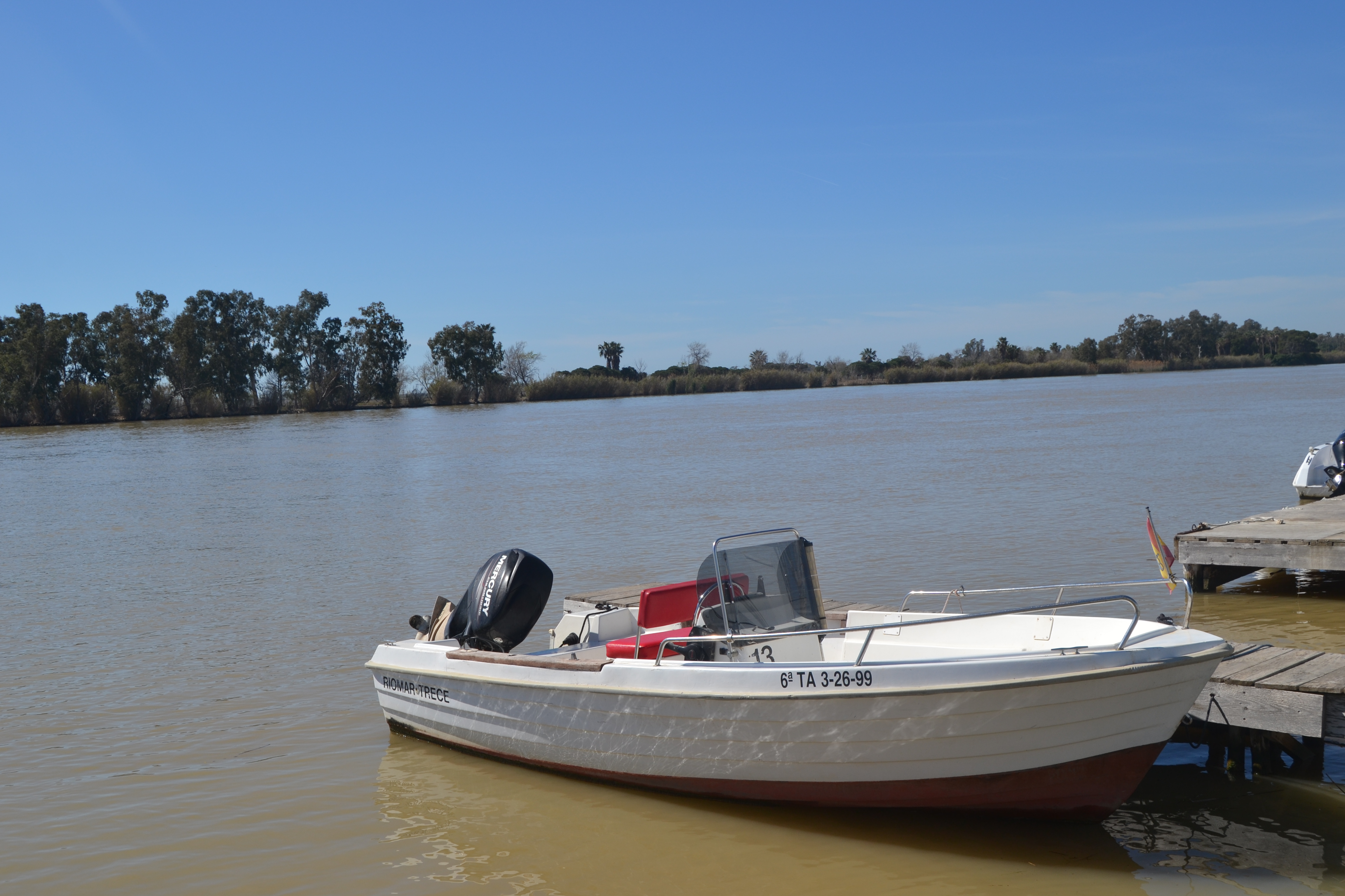 Estable 60 CV 1/2 Tag