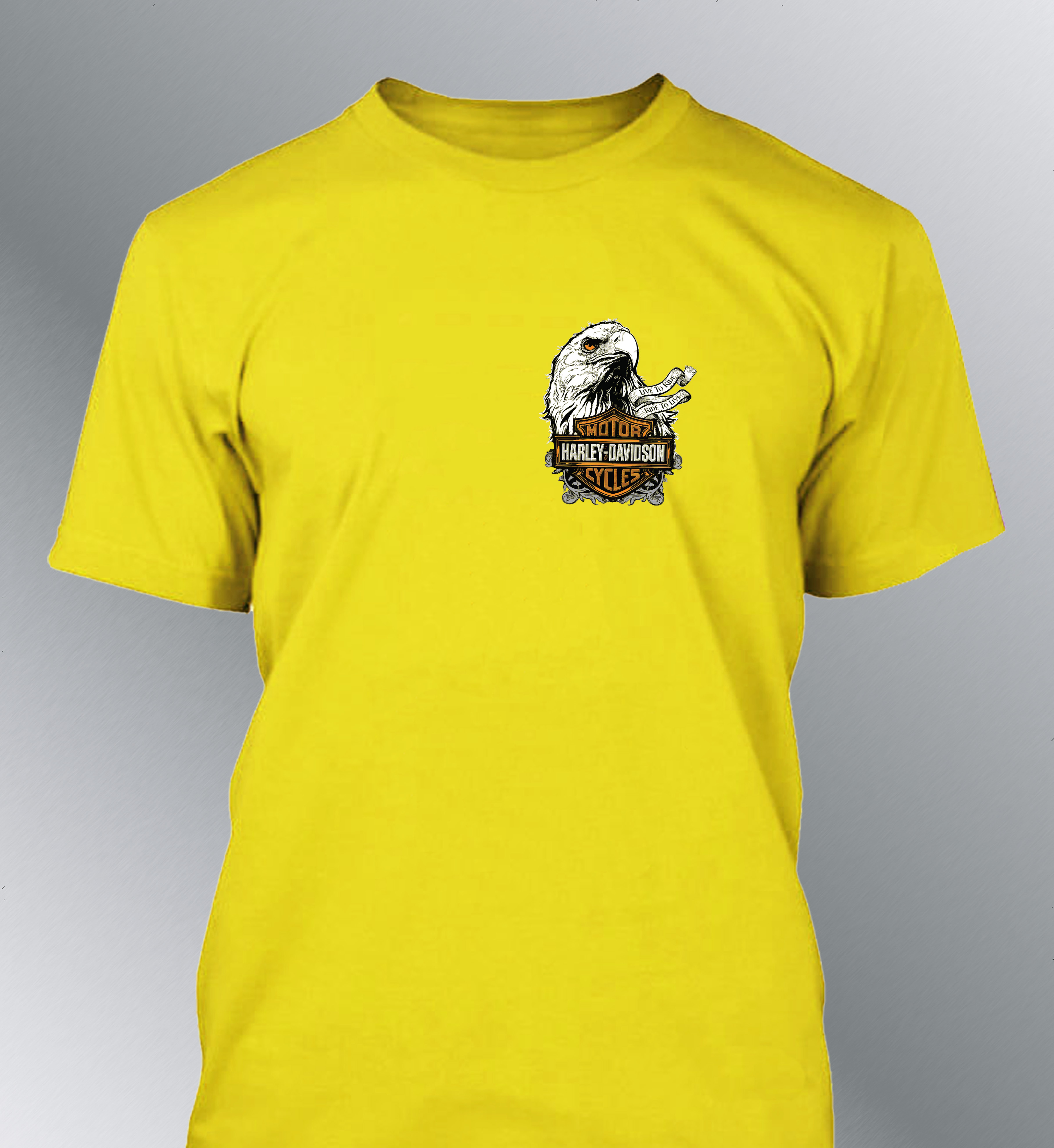 T-shirt Homme Harley Davidson - Aigle
