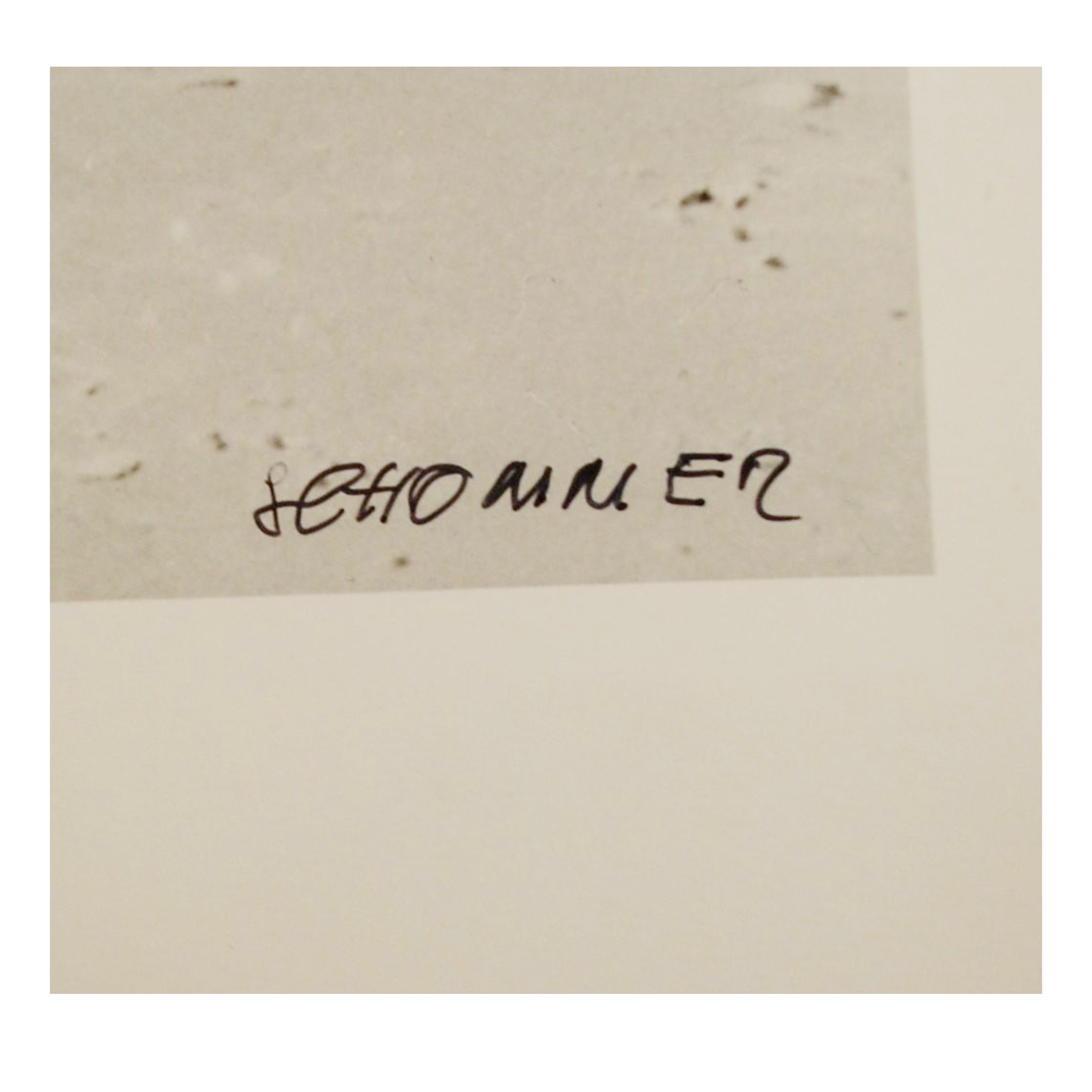 ALBERTO SCHOMMER - ROCA CON FORMA (SERIE PRIMERA ÉPOCA) - 2006