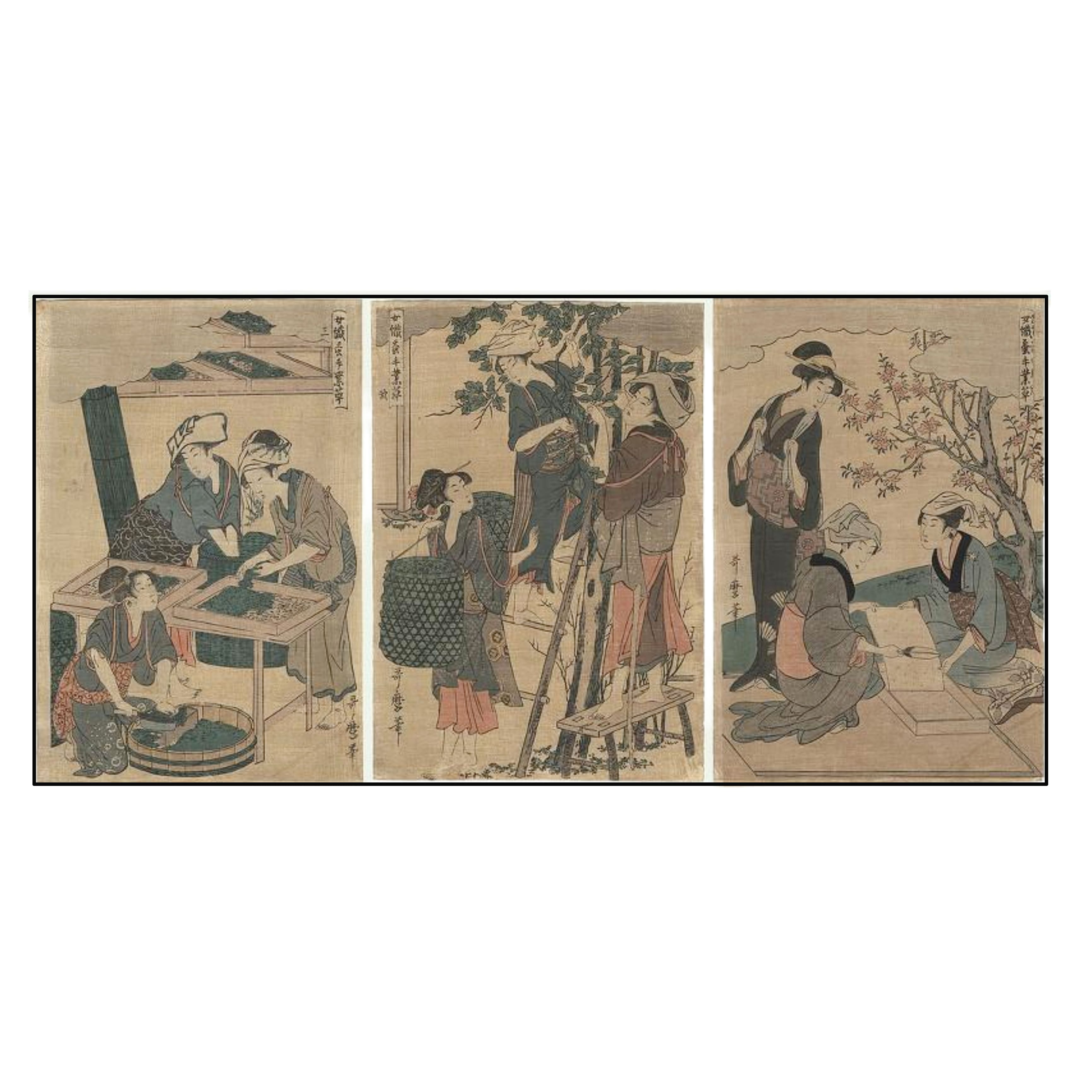 KITAGAWA UTAMARO - MUJERES TRABAJADORAS DE LA CRÍA DEL GUSANO DE SEDA (UTAMARO 1750 - 1806) - 1890