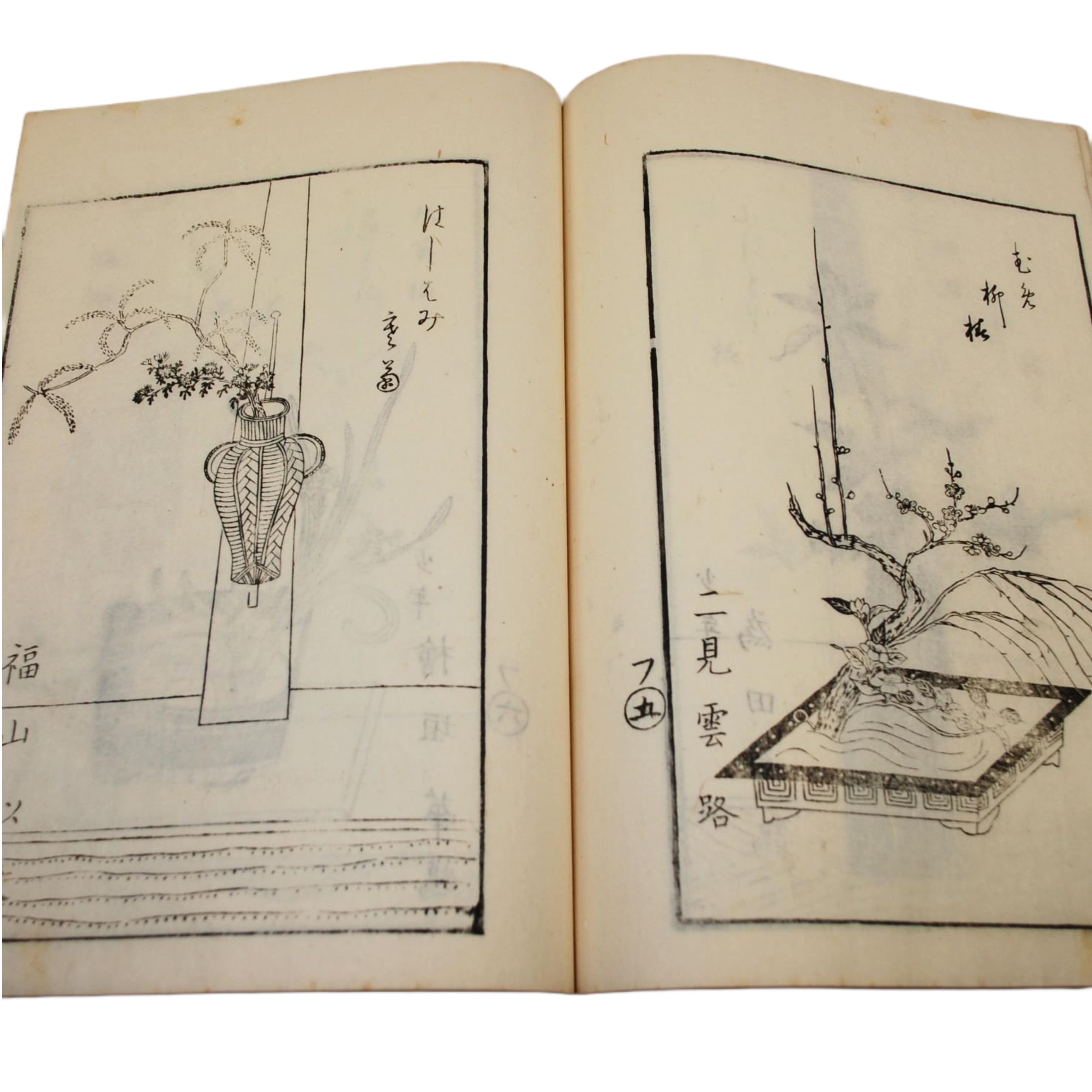 KORYU-IKEBANA - KORYU IKEBANA SHIKI HYAKU HEIZU (100 MODELOS DE PLANTAS CON ESTILO KORYU-IKEBANA DE LAS CUATRO ESTACIONES) - 1870