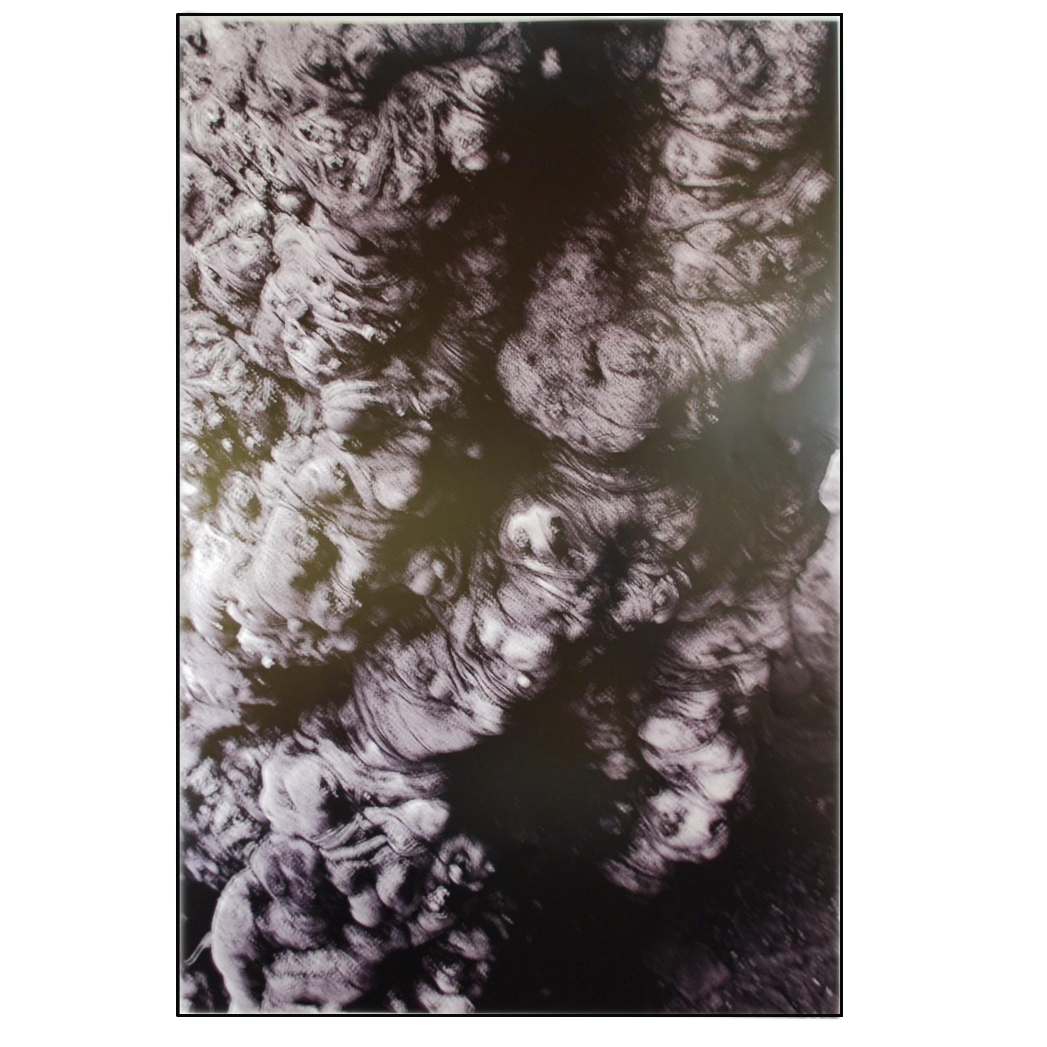 ALBERTO SCHOMMER - EL TRONCO (SERIE PAISAJES) - 2008