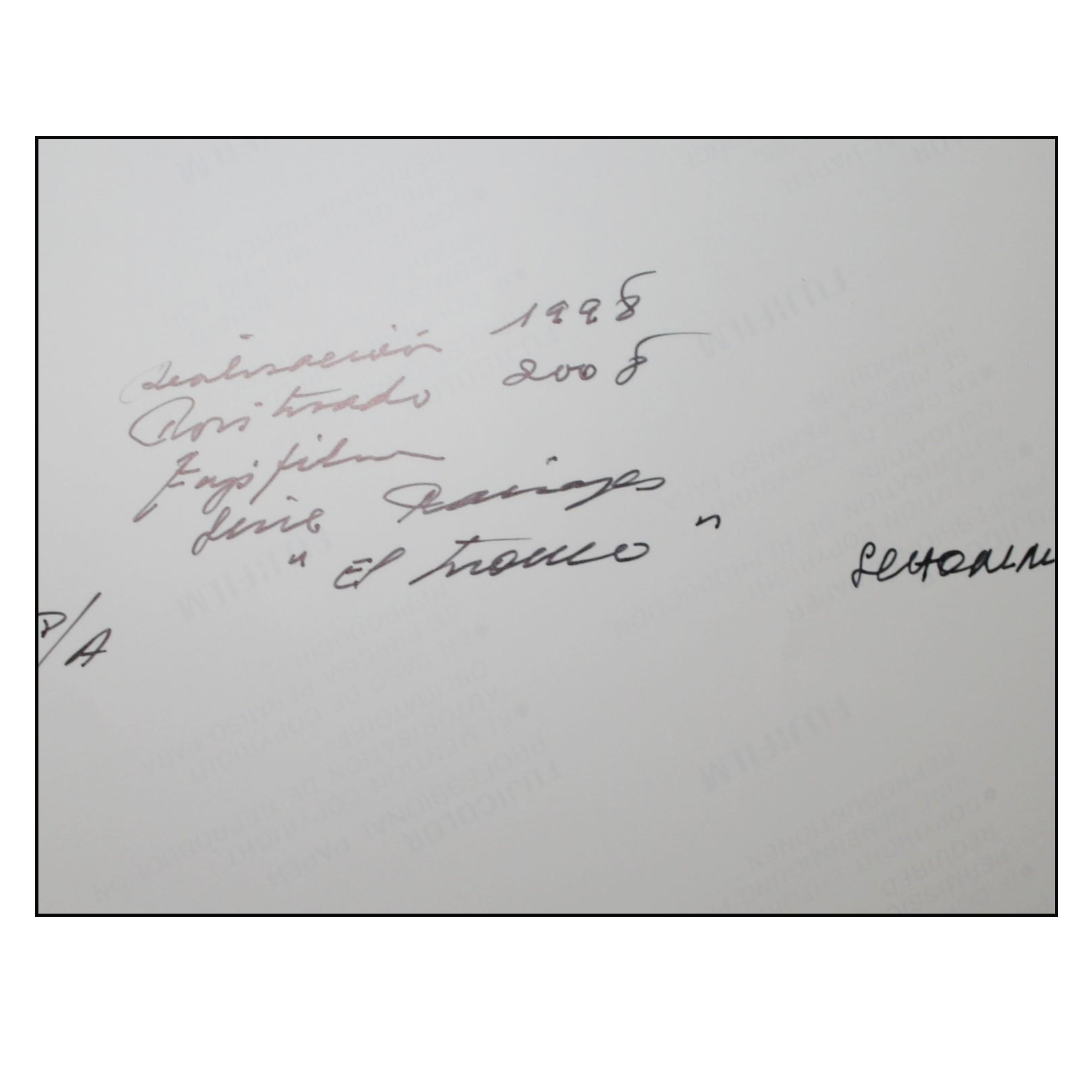 ALBERTO SCHOMMER - EL TRONCO (SERIE PAISAJES) - 2008