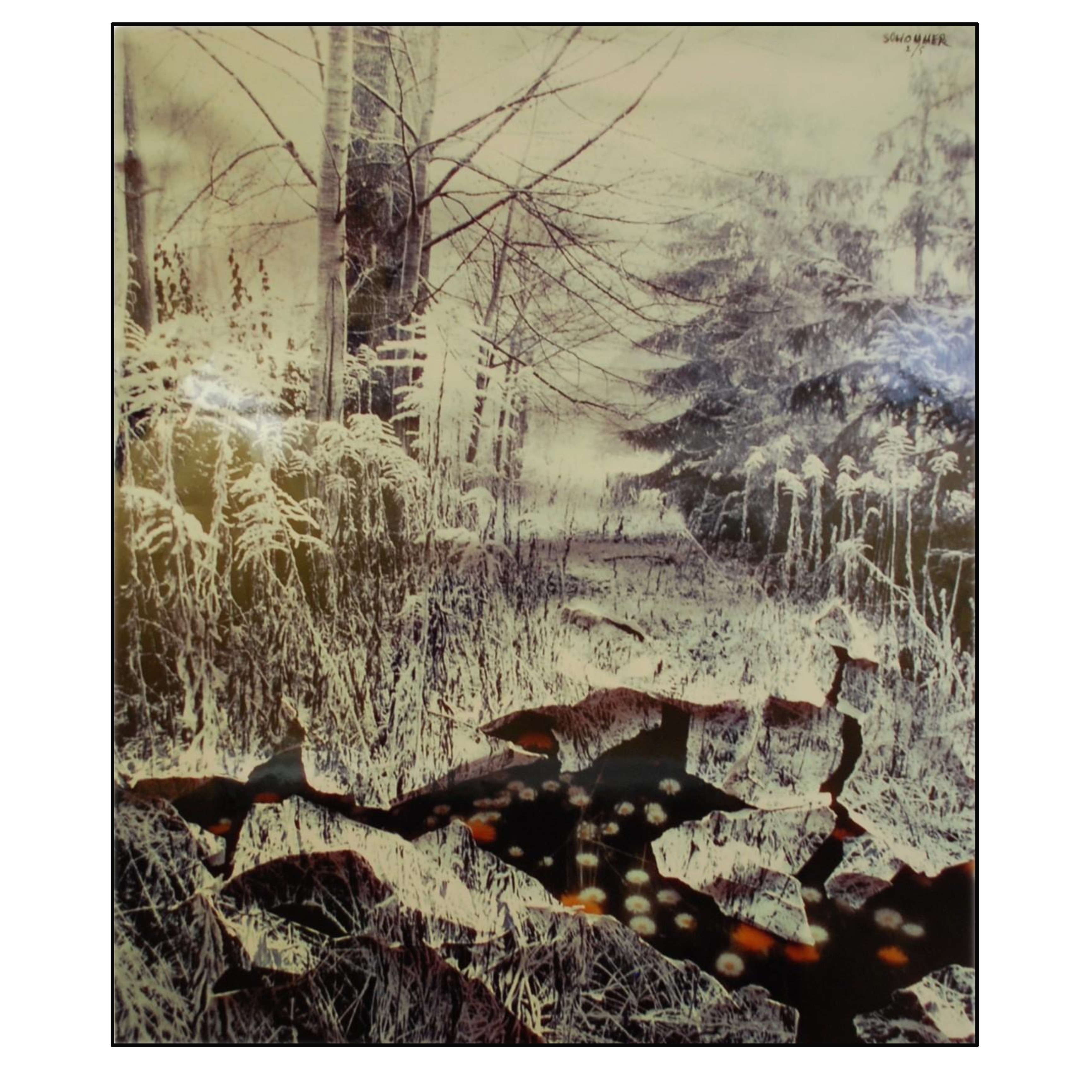 ALBERTO SCHOMMER - LA PRIMAVERA (SERIE PAISAJES) - FOTOGRAFÍA LIMITADA Y FIRMADA - 2000