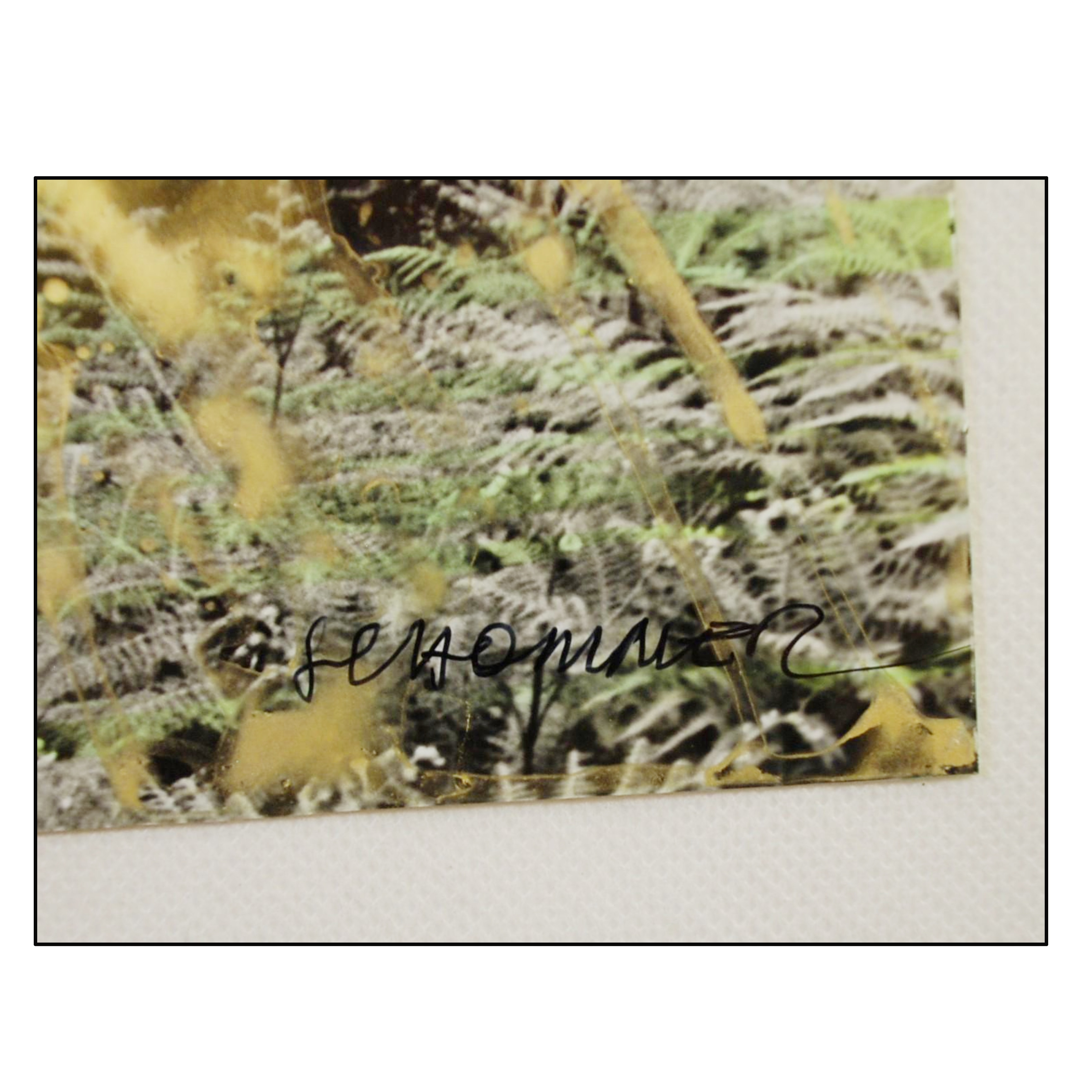 ALBERTO SCHOMMER - SIN TITULO (FOTOGRAFIA FIRMADA) - 2000