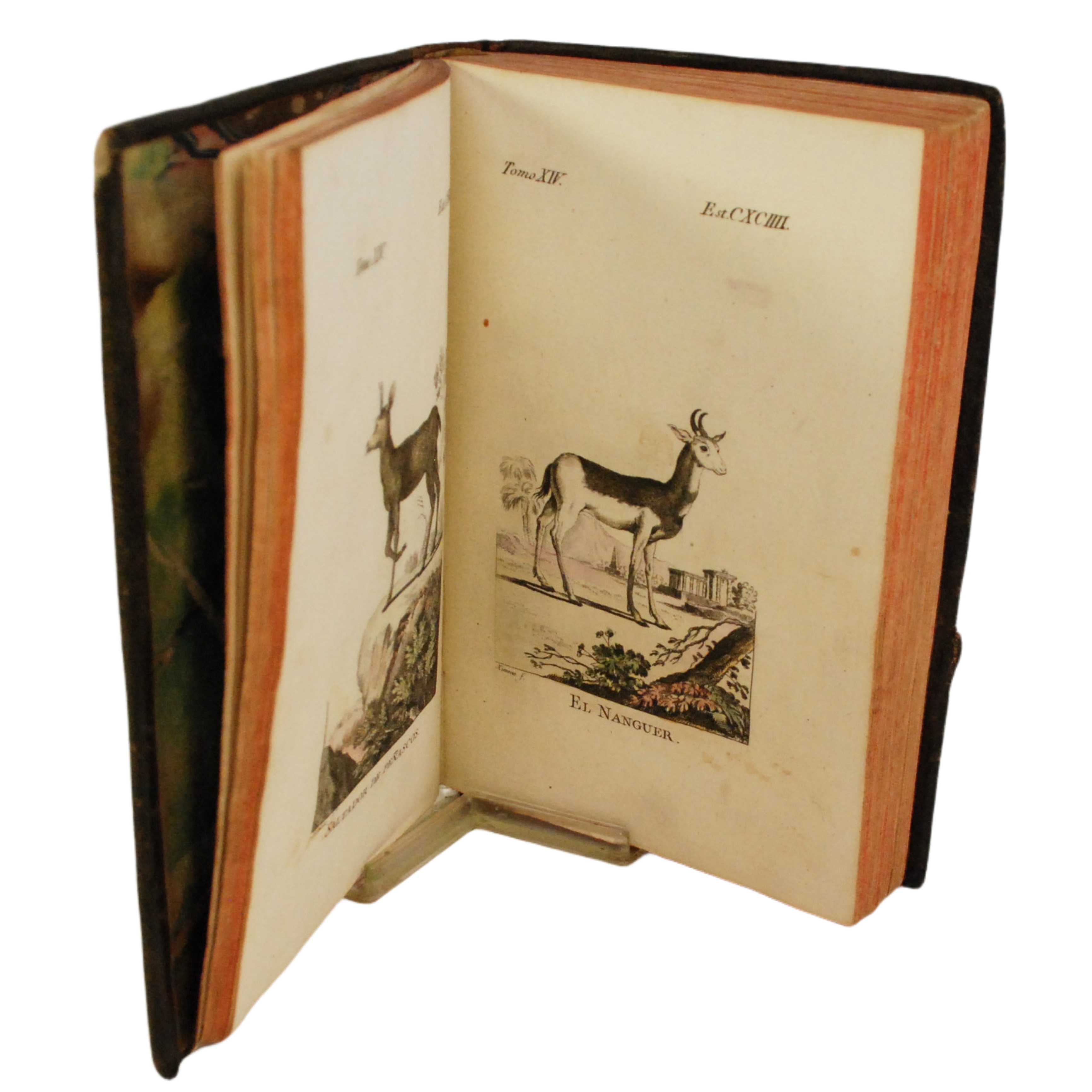 BUFFON - HISTORIA NATURAL GENERAL Y PARTICULAR (TOMO XIV) - 1796