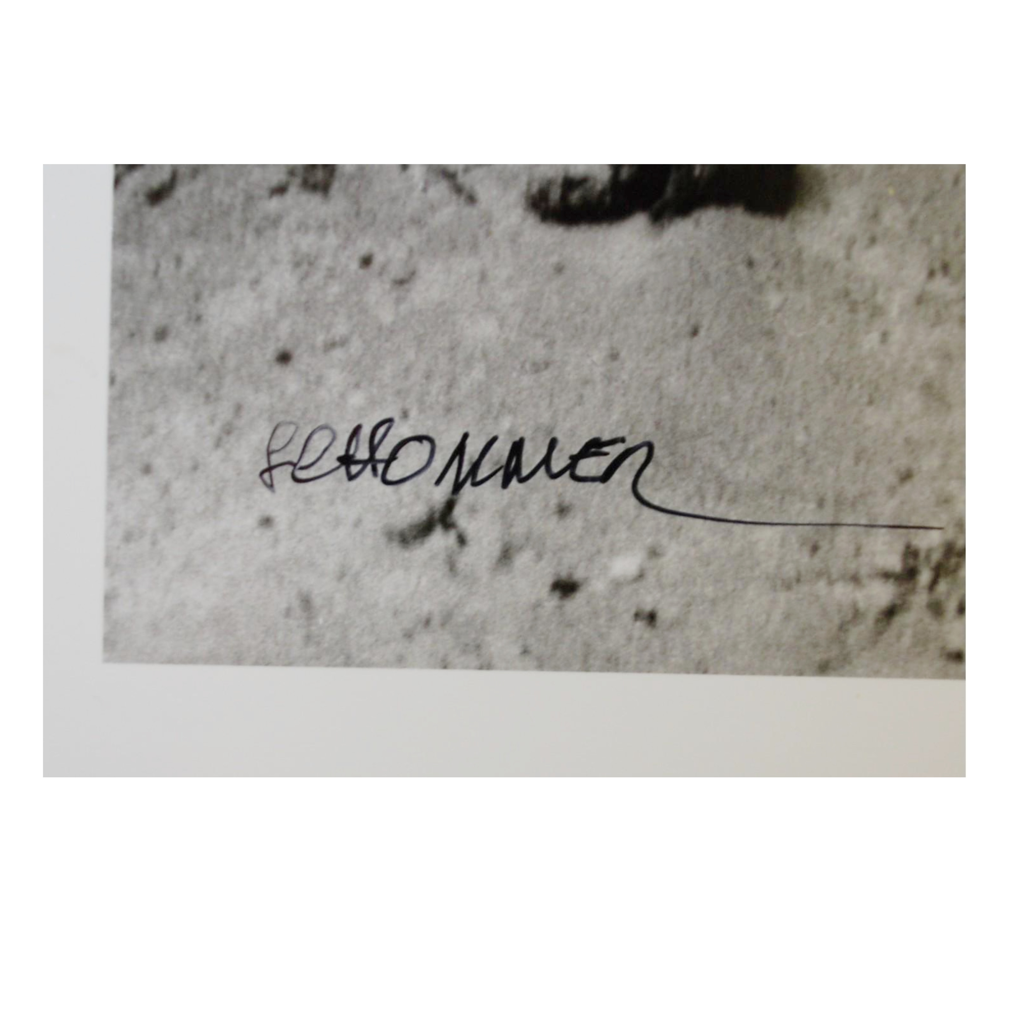 ALBERTO SCHOMMER - PEDREGAL (SERIE PRIMERA ÉPOCA) - 2006