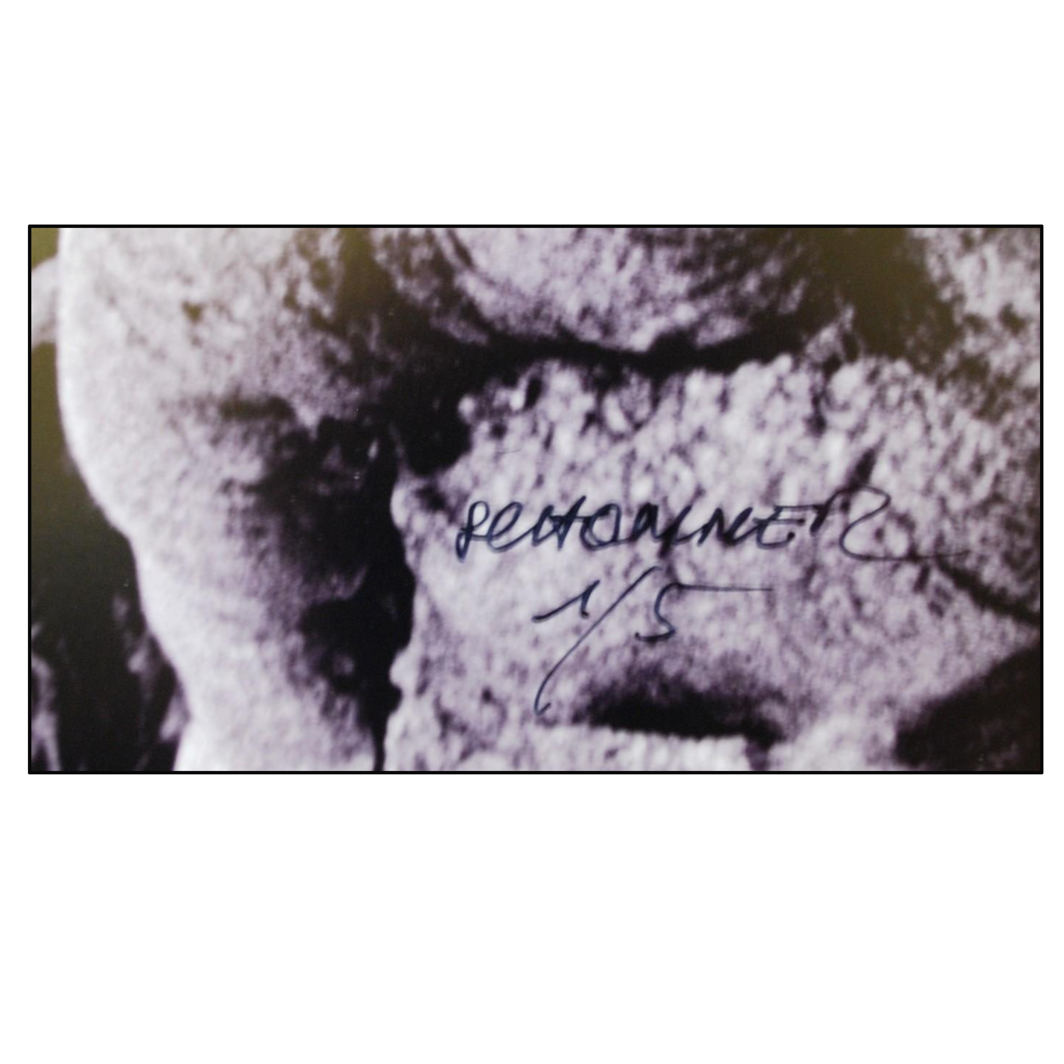 ALBERTO SCHOMMER - EL TRONCO (SERIE PAISAJES) - 2008