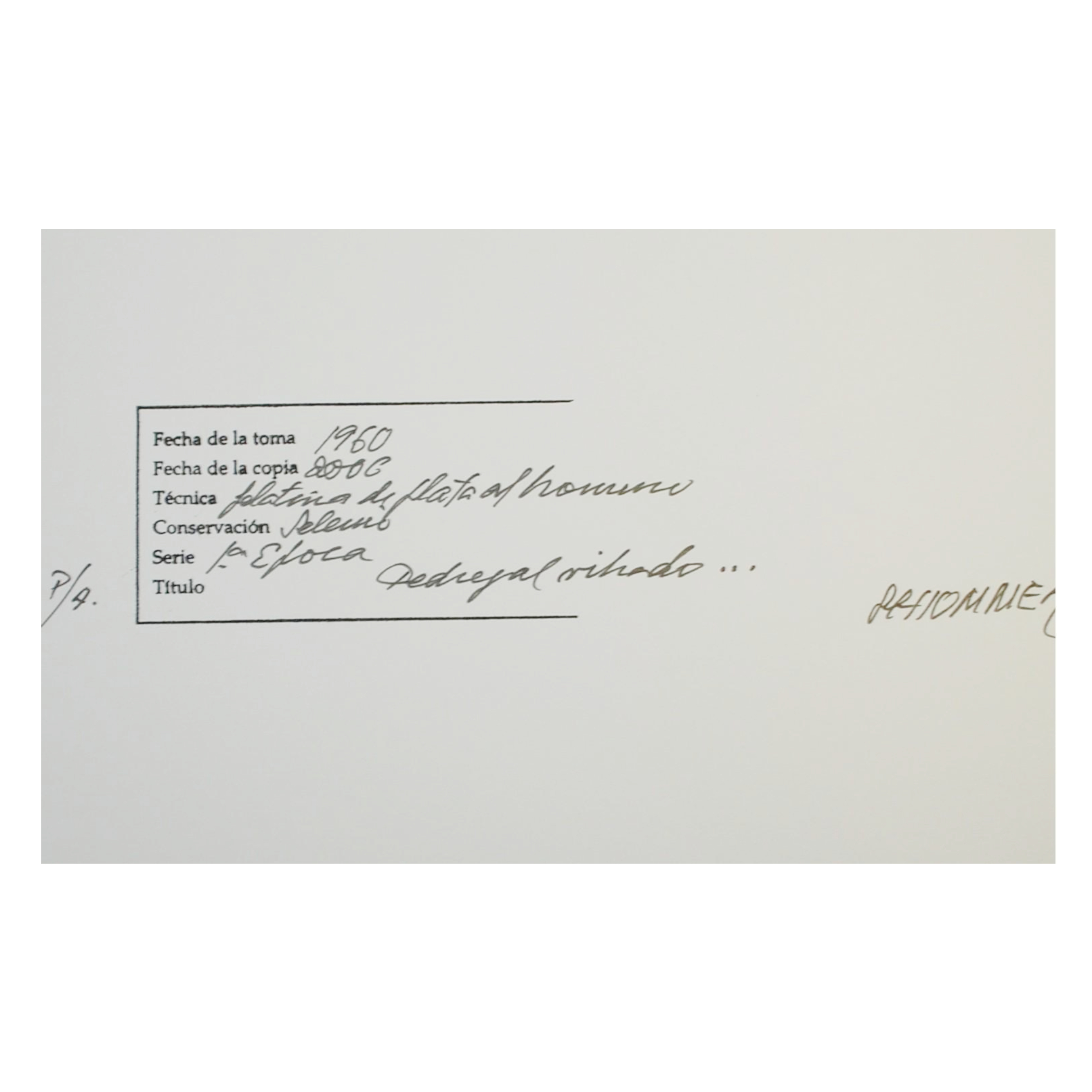 ALBERTO SCHOMMER - PEDREGAL (SERIE PRIMERA ÉPOCA) - 2006