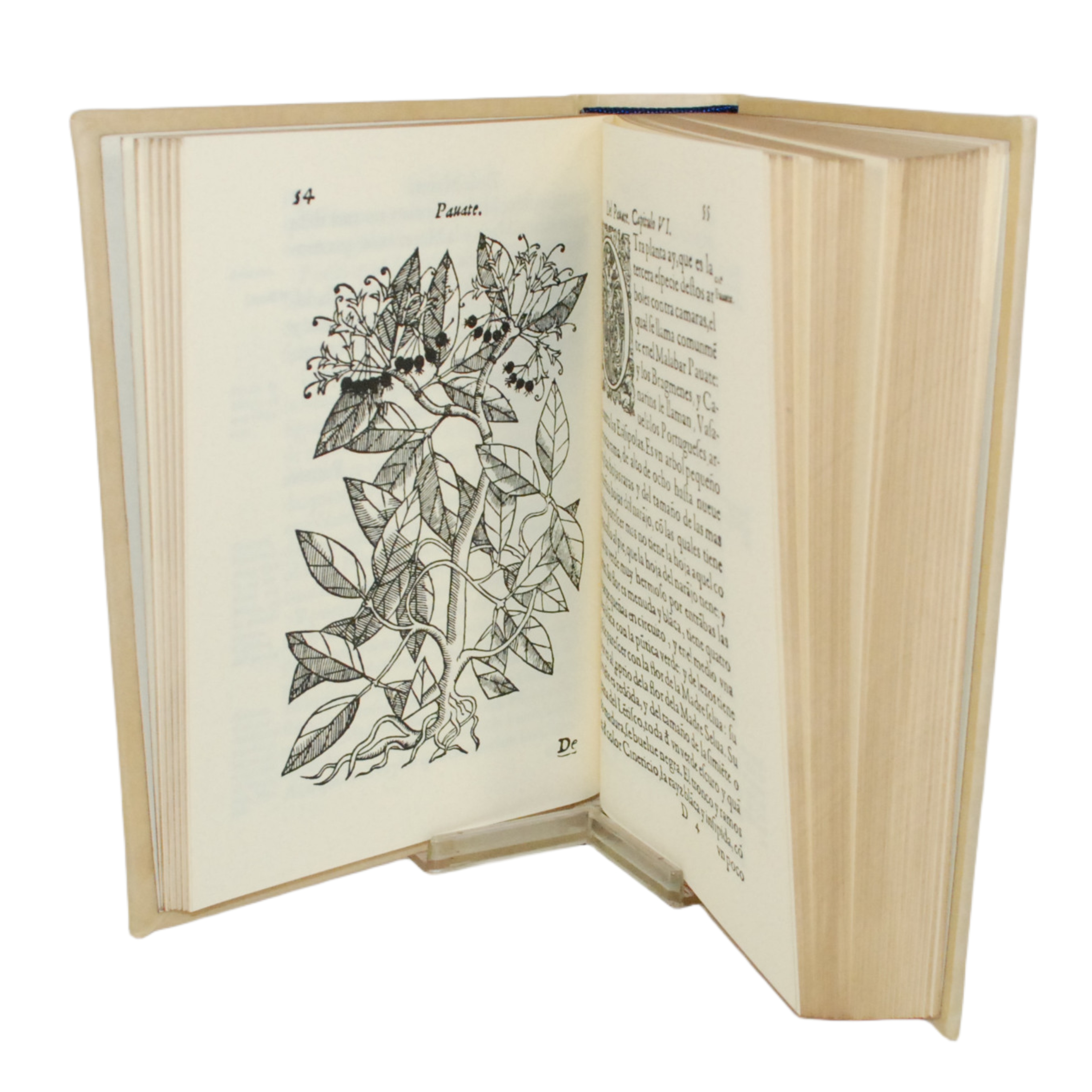 DOCTOR GARCIA DE ORTA - TRATADO DE LAS DROGAS (FACSÍMIL) - 1578