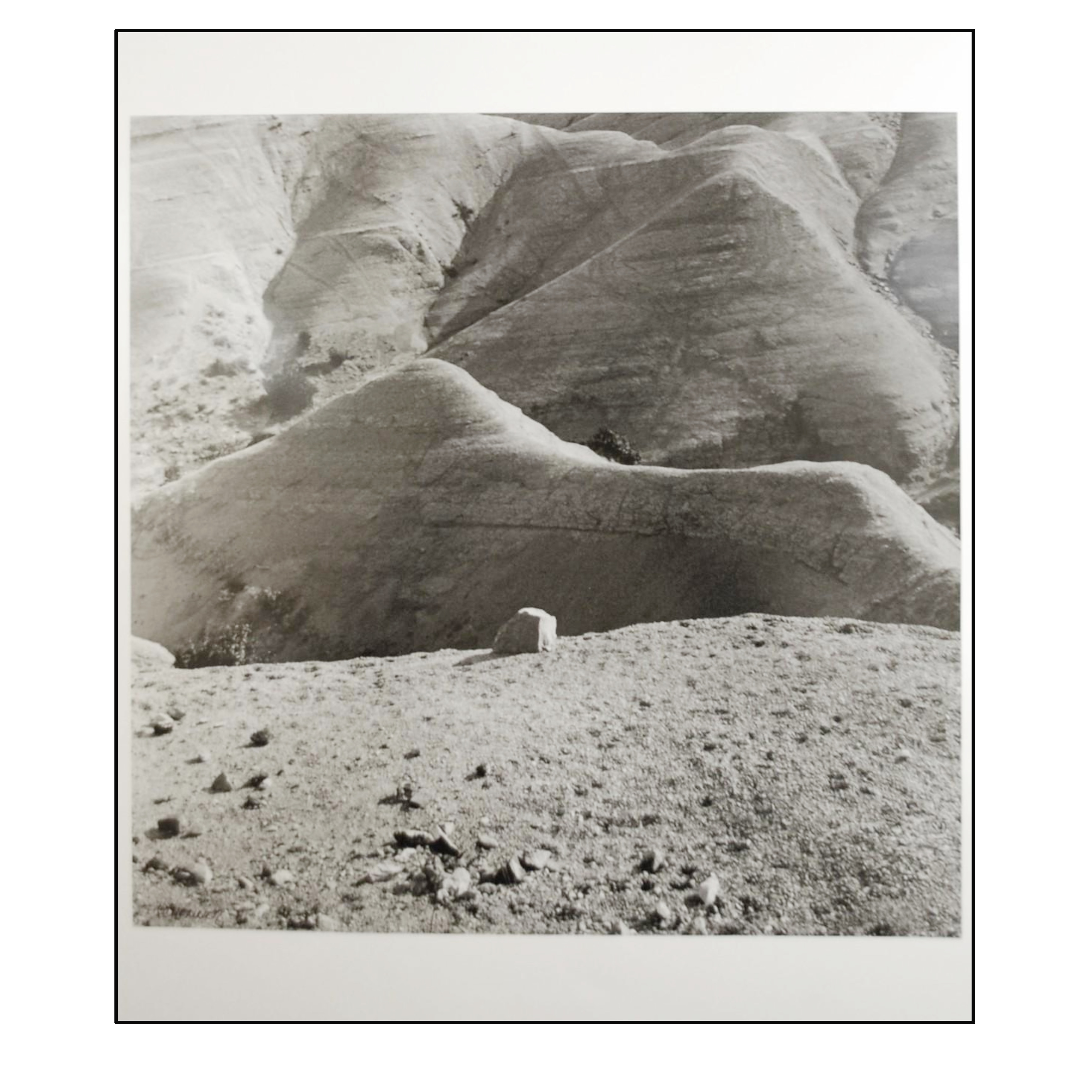 ALBERTO SCHOMMER - PAISAJE DESOLADO (SERIE PRIMERA ÉPOCA) - 2006