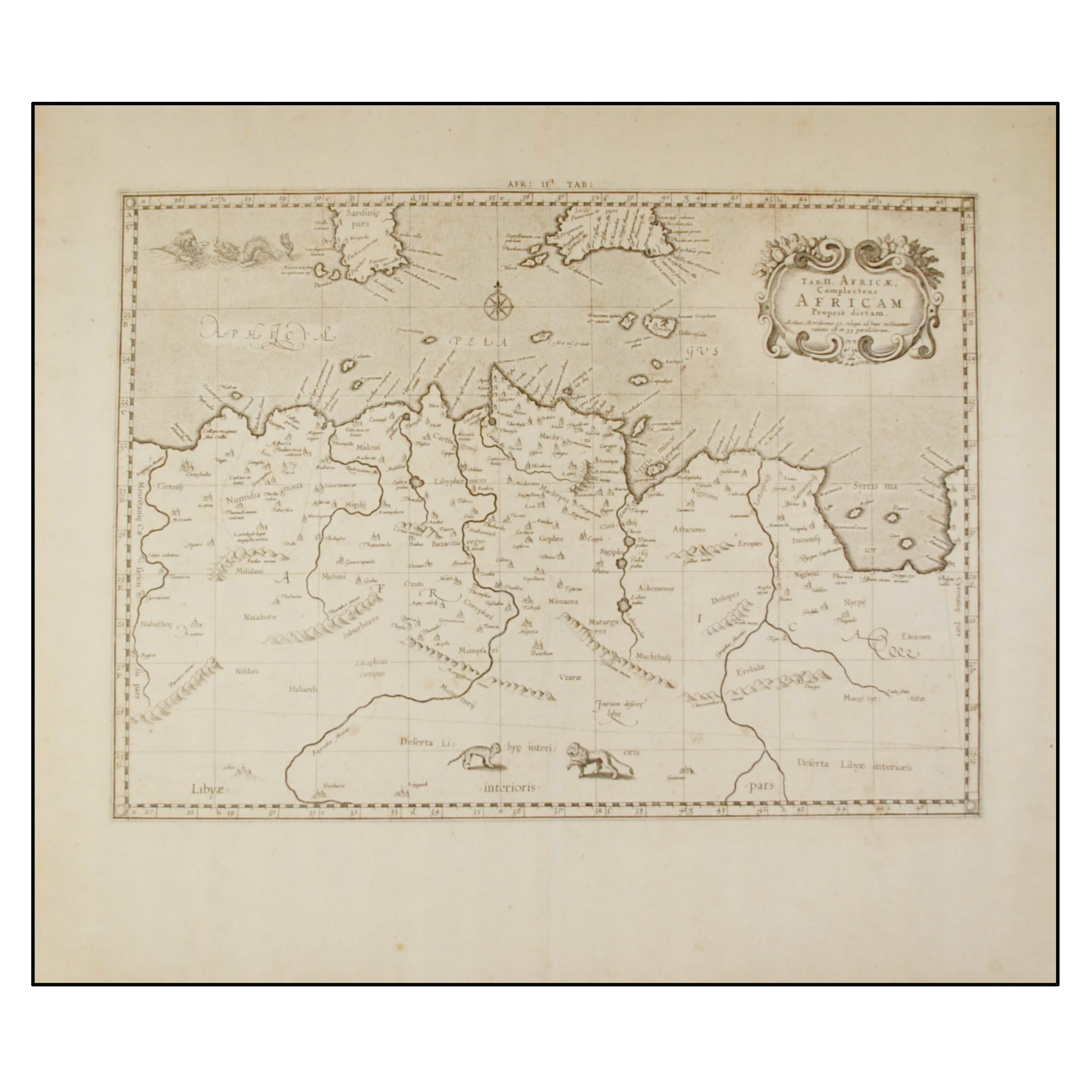 AFRICAE COMPLECTENS AFRICAM PROPRIE DICTAM