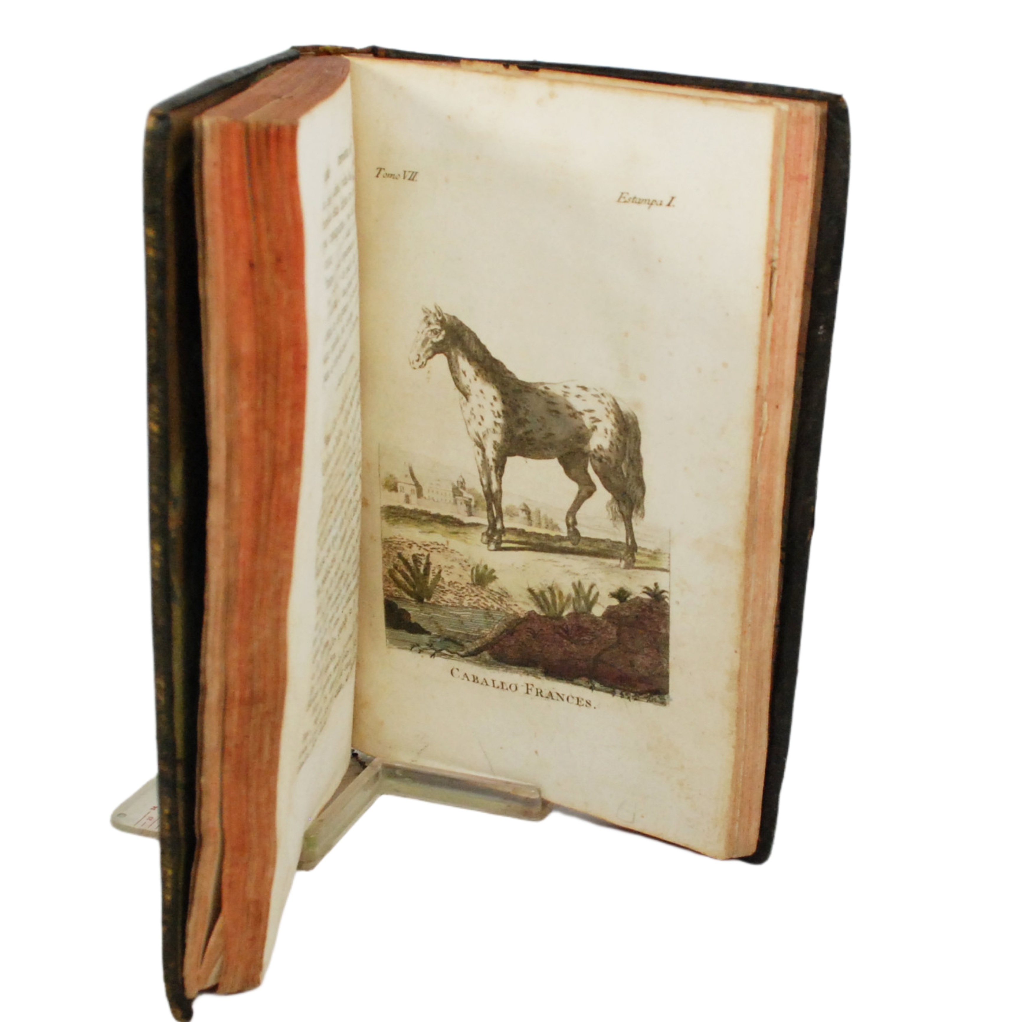 BUFFON - HISTORIA NATURAL GENERAL Y PARTICULAR (TOMO VII) - 1798