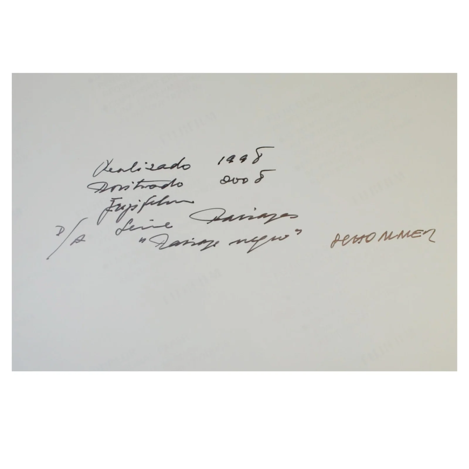 ALBERTO SCHOMMER - PAISAJE NEGRO (SERIE PAISAJES) - 2008