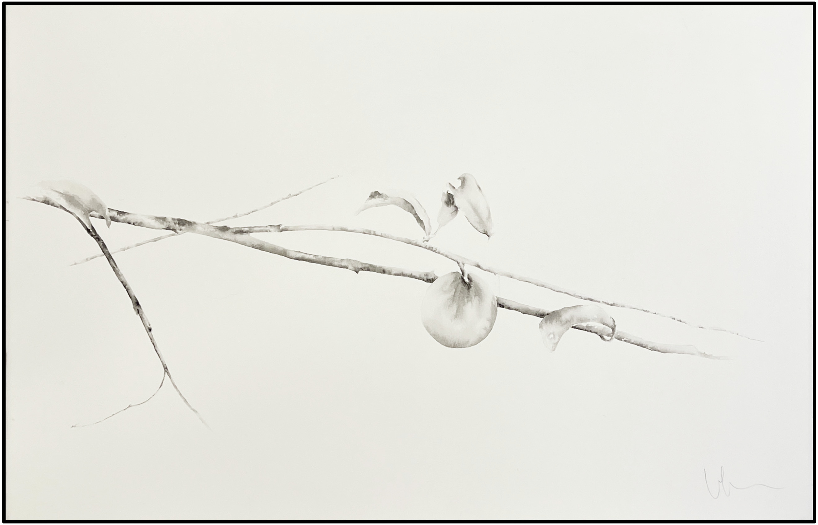 VENANCIO ARRIBAS - BLANCO Y NEGRO (ACUARELA) - 2000