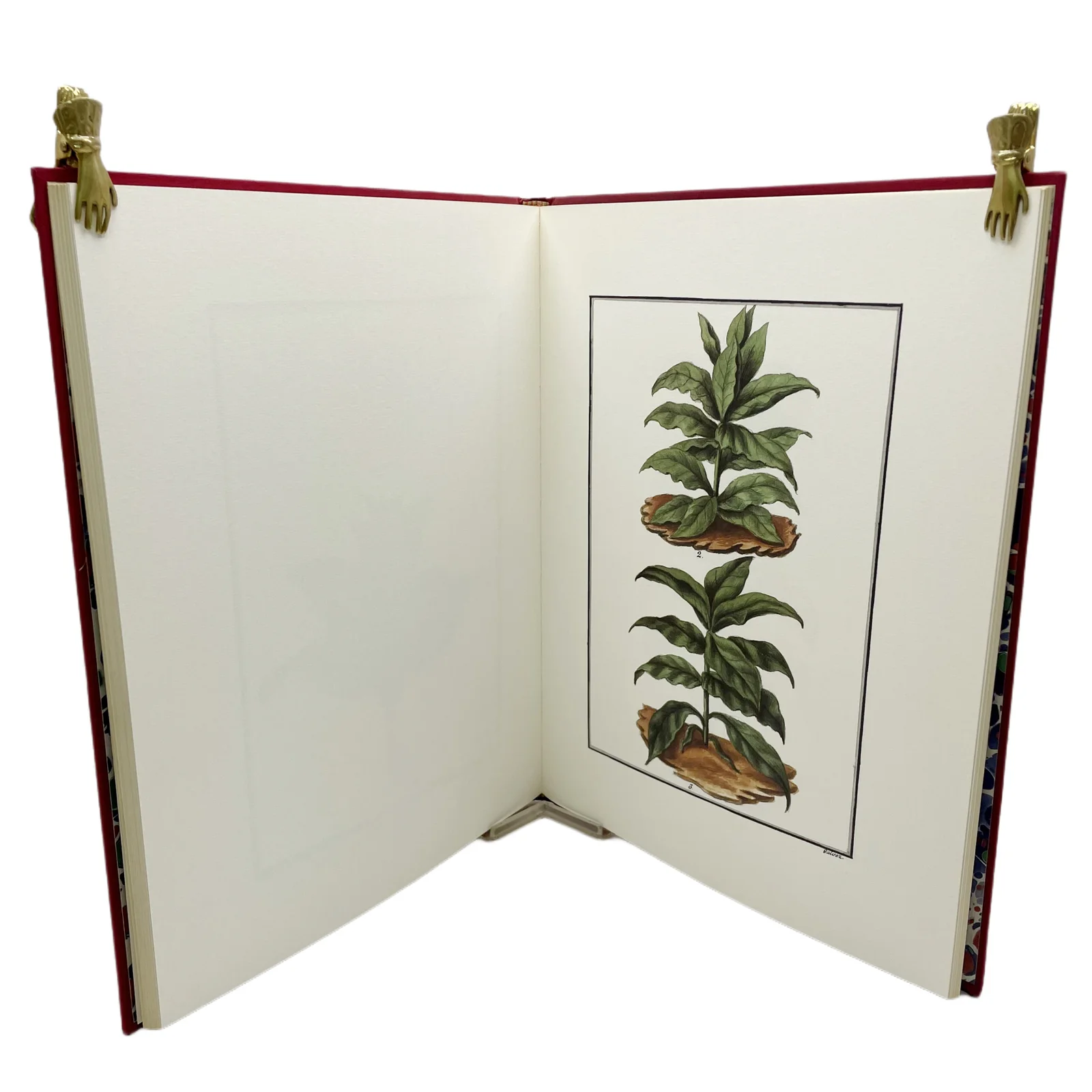 N. JOSEF RAPÚN - INSTRUCCIÓN GENERAL DEL CULTIVO DE TABACO (FACSIMIL) - 1764