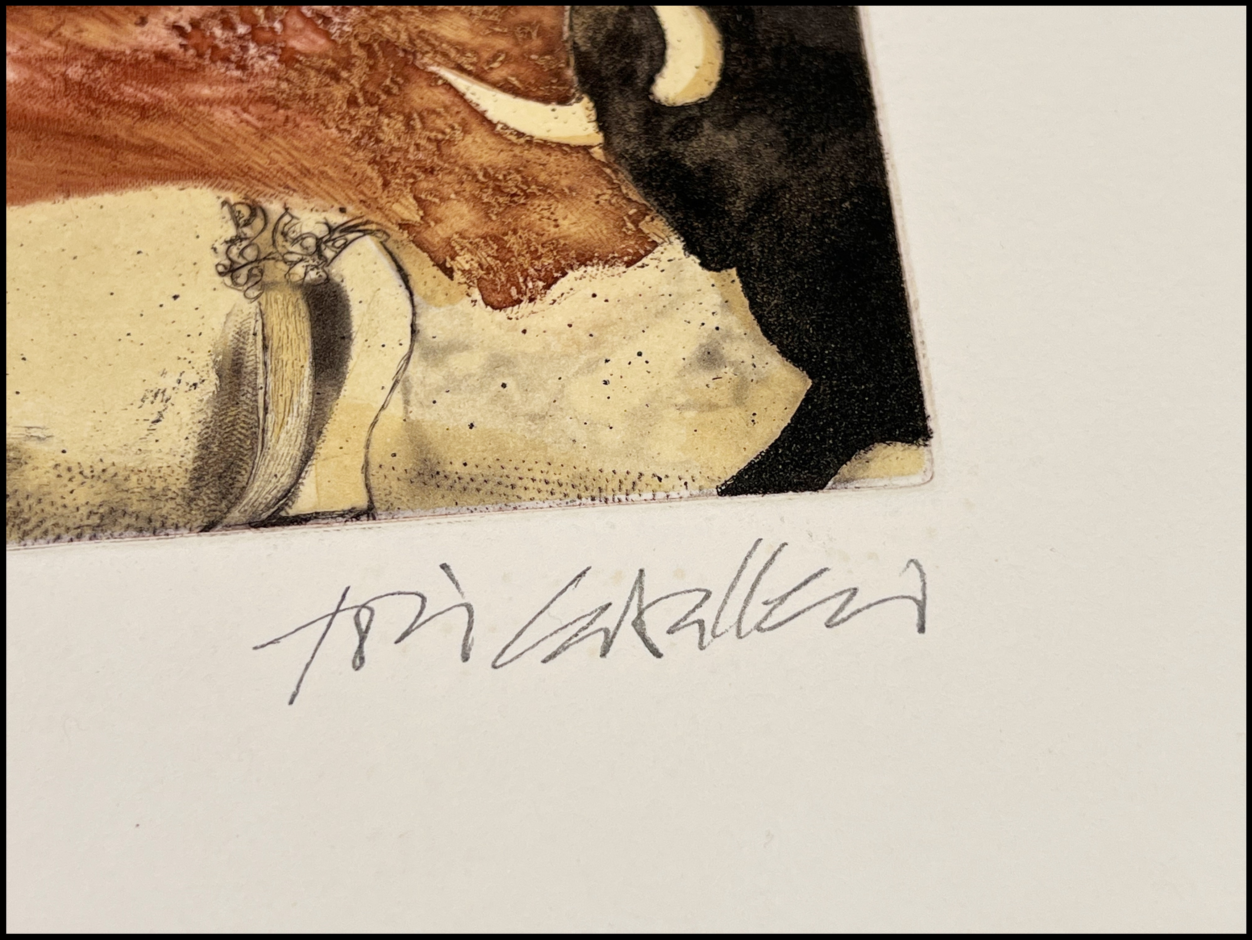 JOSE CABALLERO - TAUROMAQUIA,  LA SUERTE O LA MUERTE - 1987