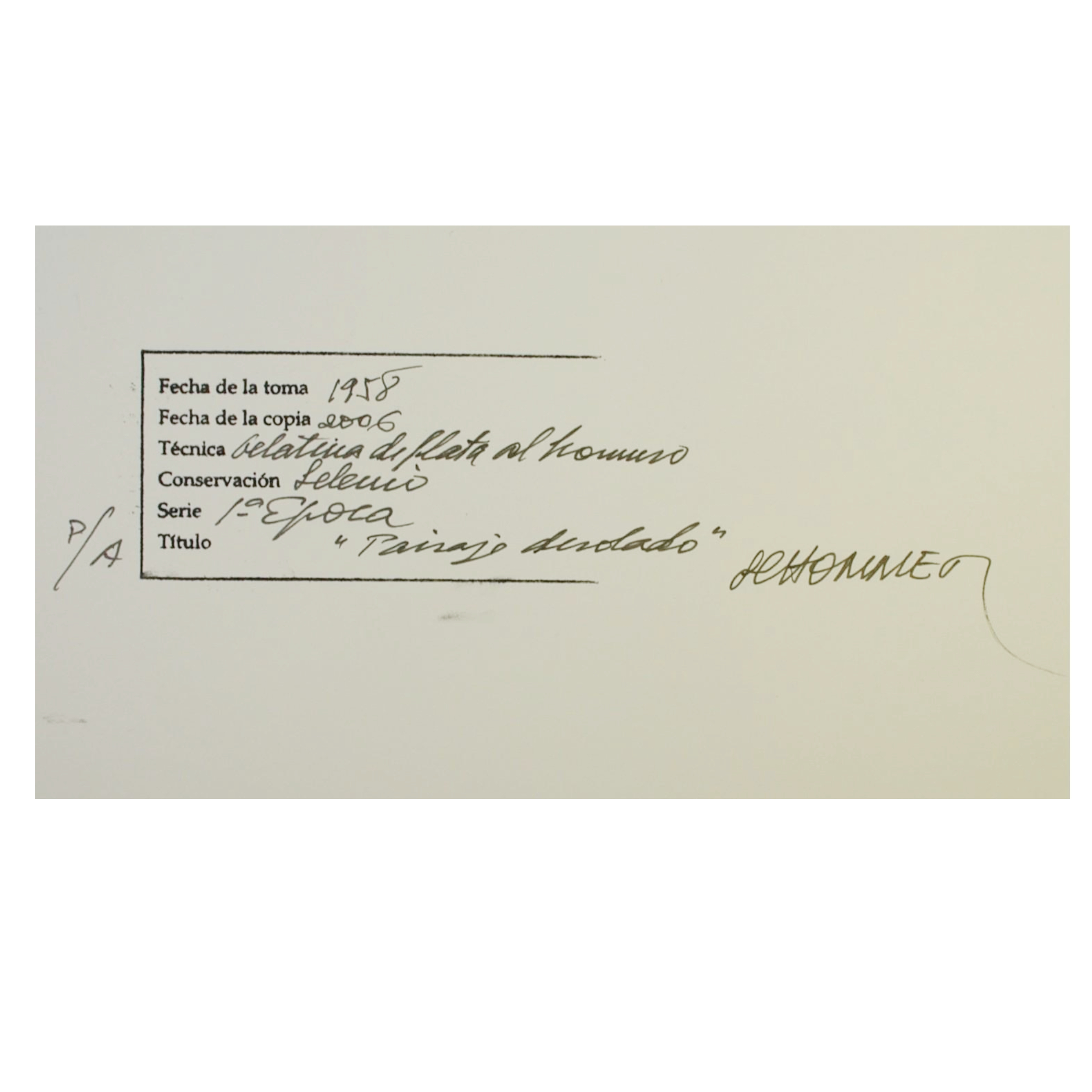 ALBERTO SCHOMMER - PAISAJE DESOLADO (SERIE PRIMERA ÉPOCA) - 2006