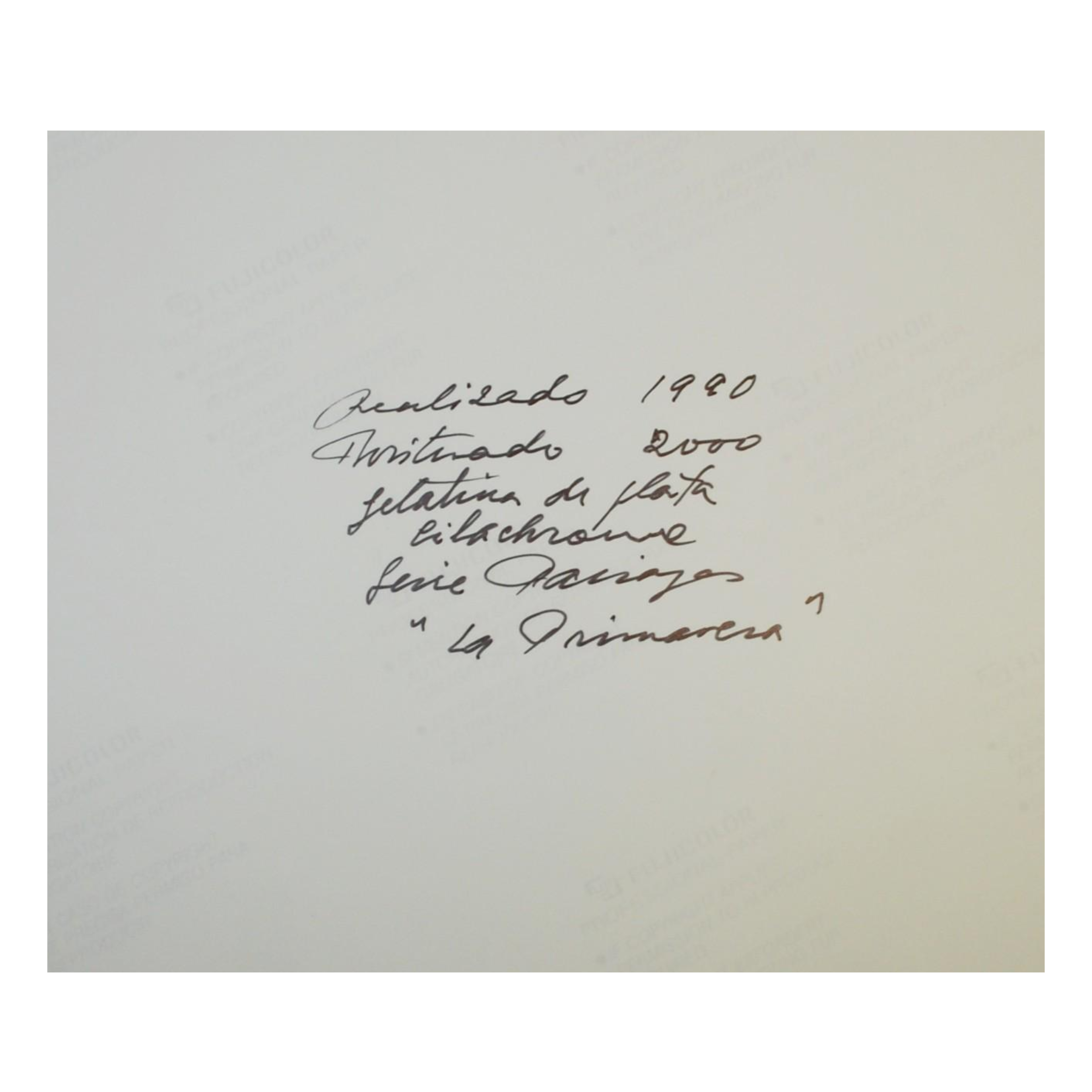 ALBERTO SCHOMMER - LA PRIMAVERA (SERIE PAISAJES) - FOTOGRAFÍA LIMITADA Y FIRMADA - 2000