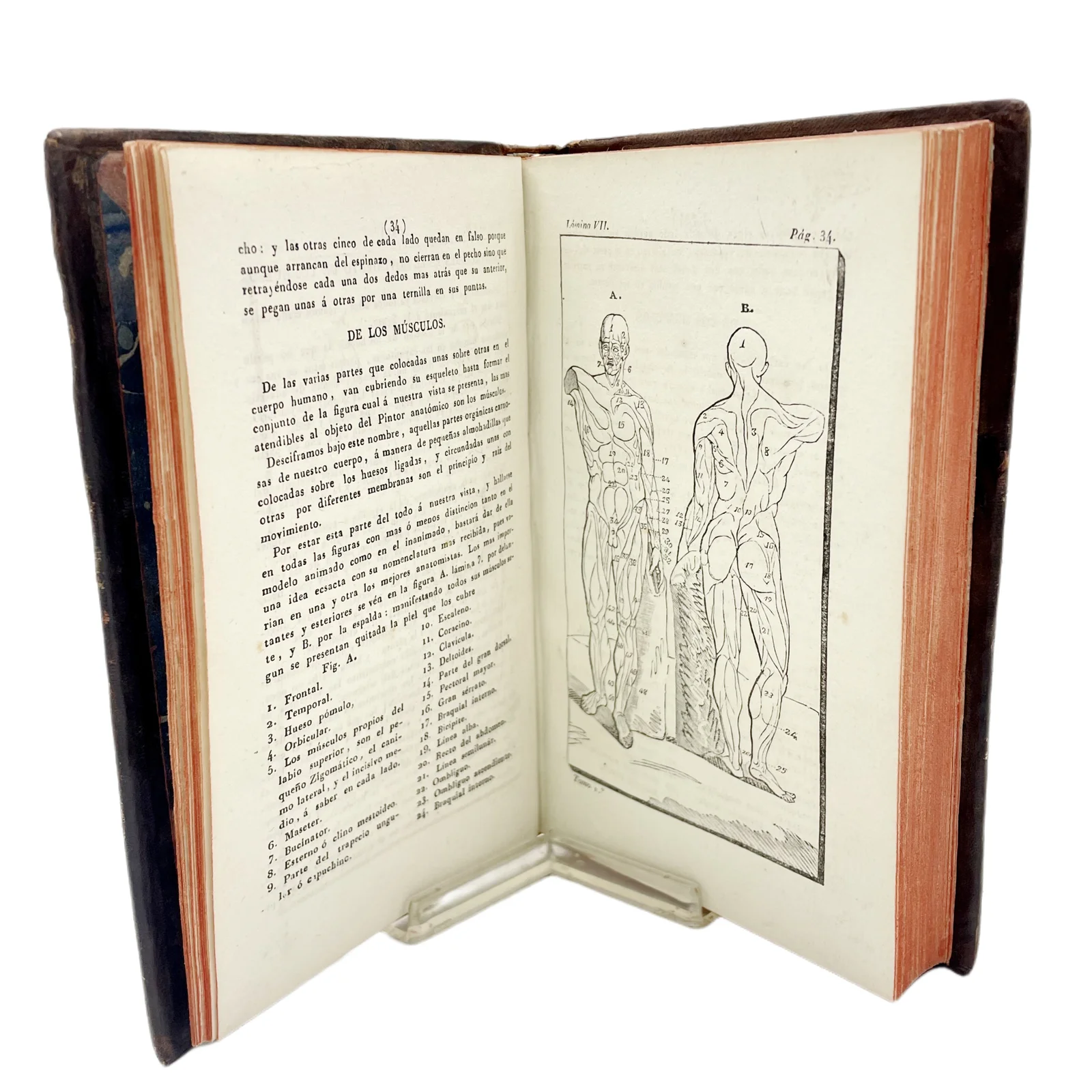 J. SOLER OLIVERES - CURSO DE DISEÑO Y PINTURA (1ª EDICIÓN) - 1837