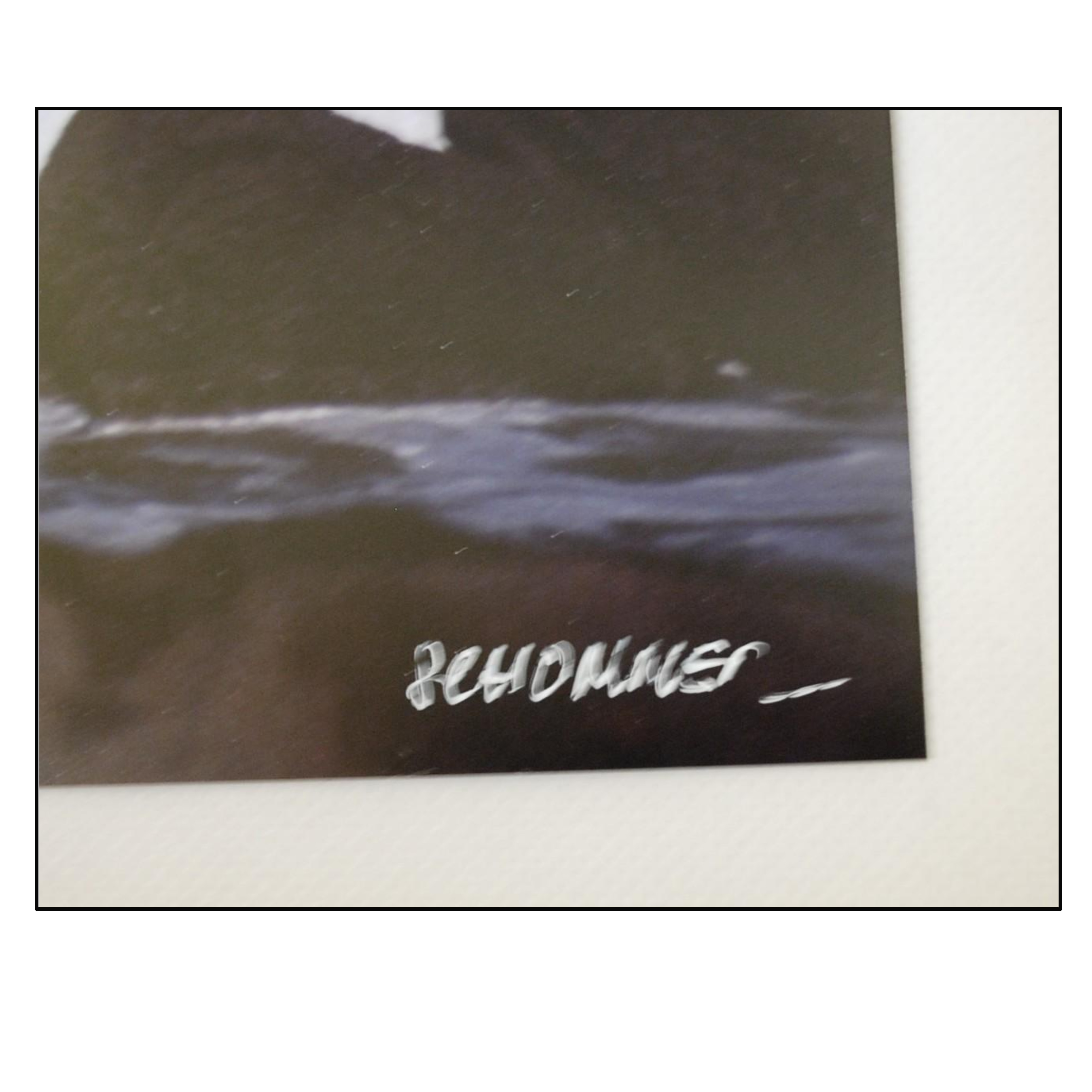 ALBERTO SCHOMMER - SIN TITULO (FOTOGRAFIA FIRMADA) - 2000