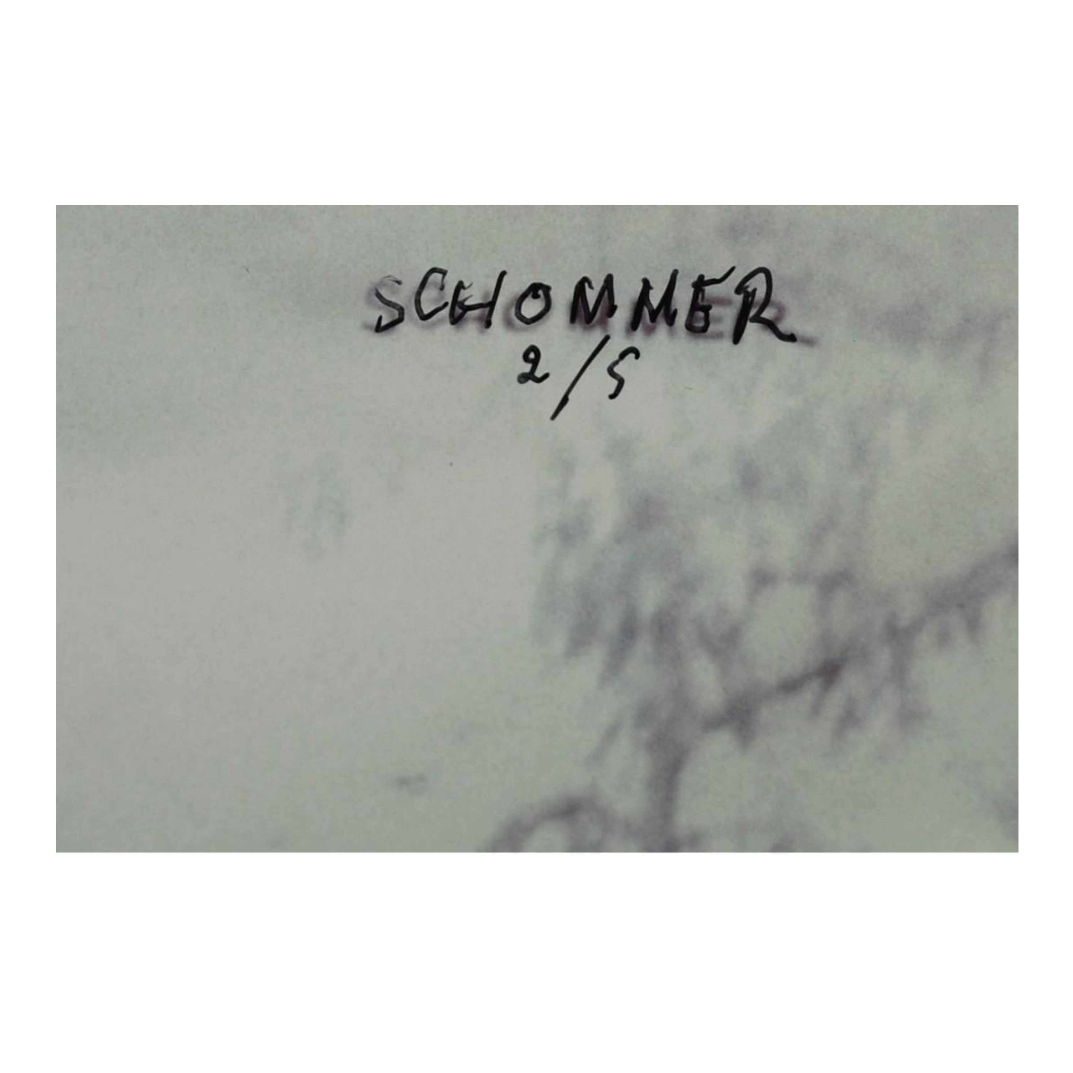 ALBERTO SCHOMMER - LA PRIMAVERA (SERIE PAISAJES) - FOTOGRAFÍA LIMITADA Y FIRMADA - 2000