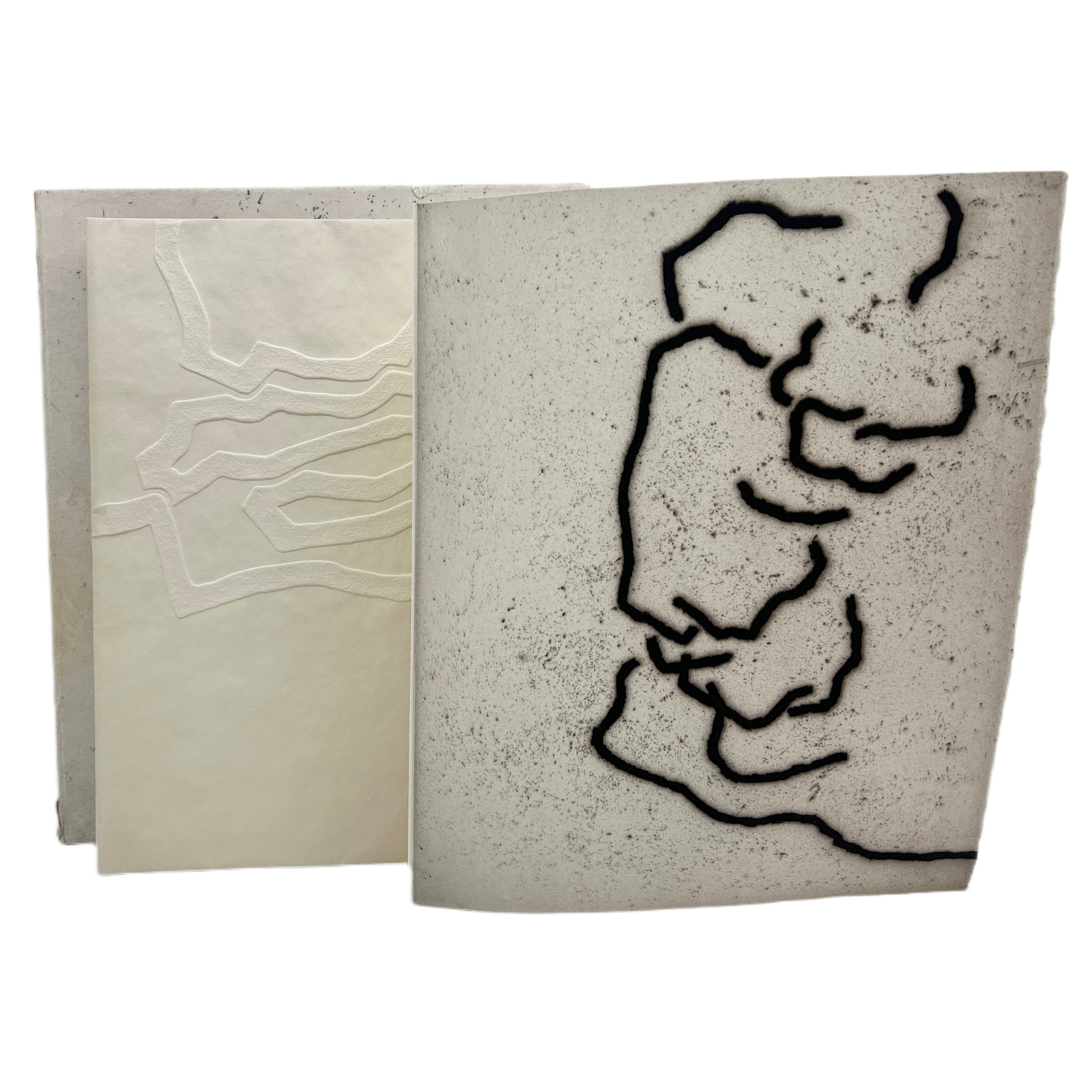 LE CHEMIN DES DEVINS SUIVI DE MÉNERBES