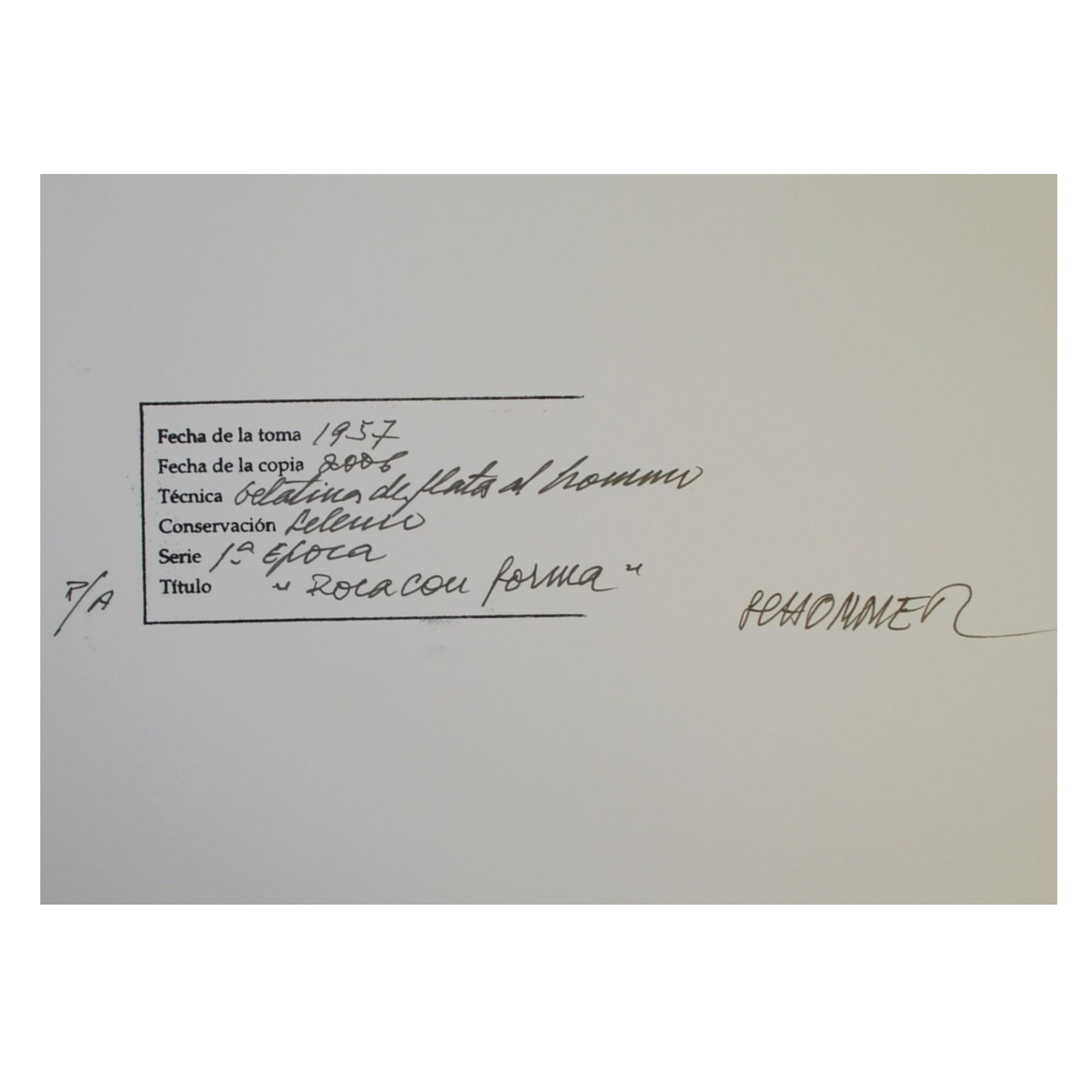 ALBERTO SCHOMMER - ROCA CON FORMA (SERIE PRIMERA ÉPOCA) - 2006