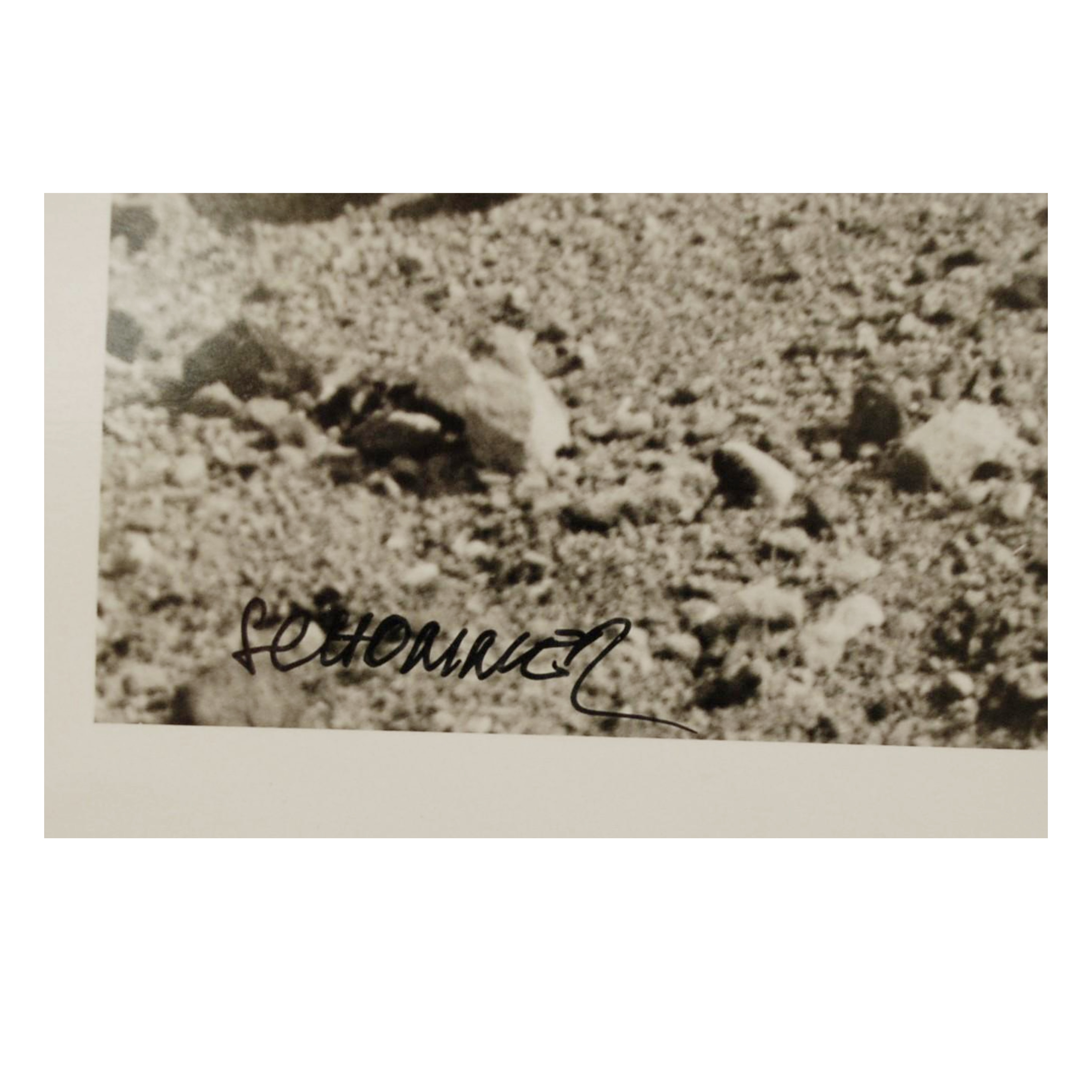 ALBERTO SCHOMMER - PAISAJE DESOLADO (SERIE PRIMERA ÉPOCA) - 2006