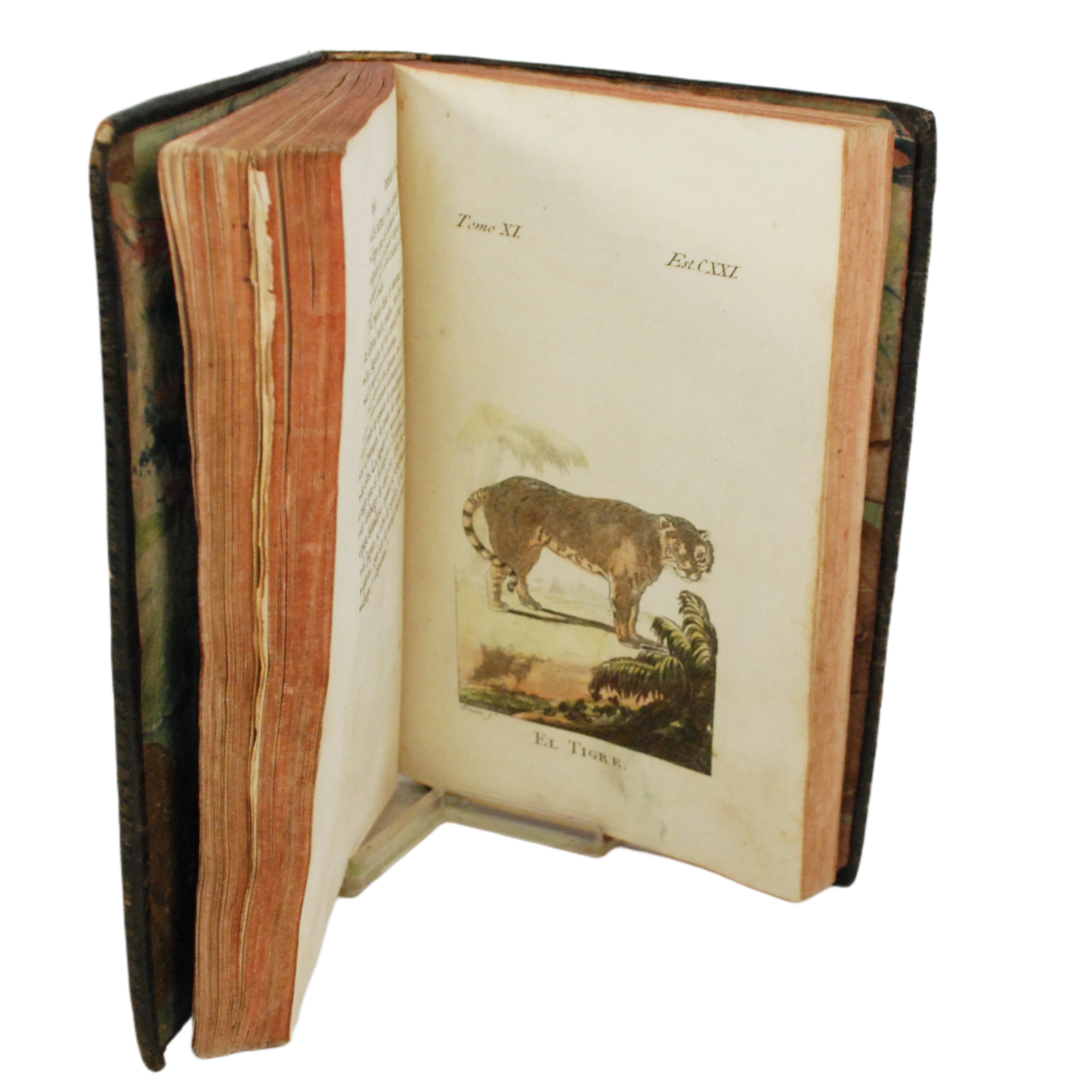 BUFFON - HISTORIA NATURAL GENERAL Y PARTICULAR (TOMO XI) - 1792