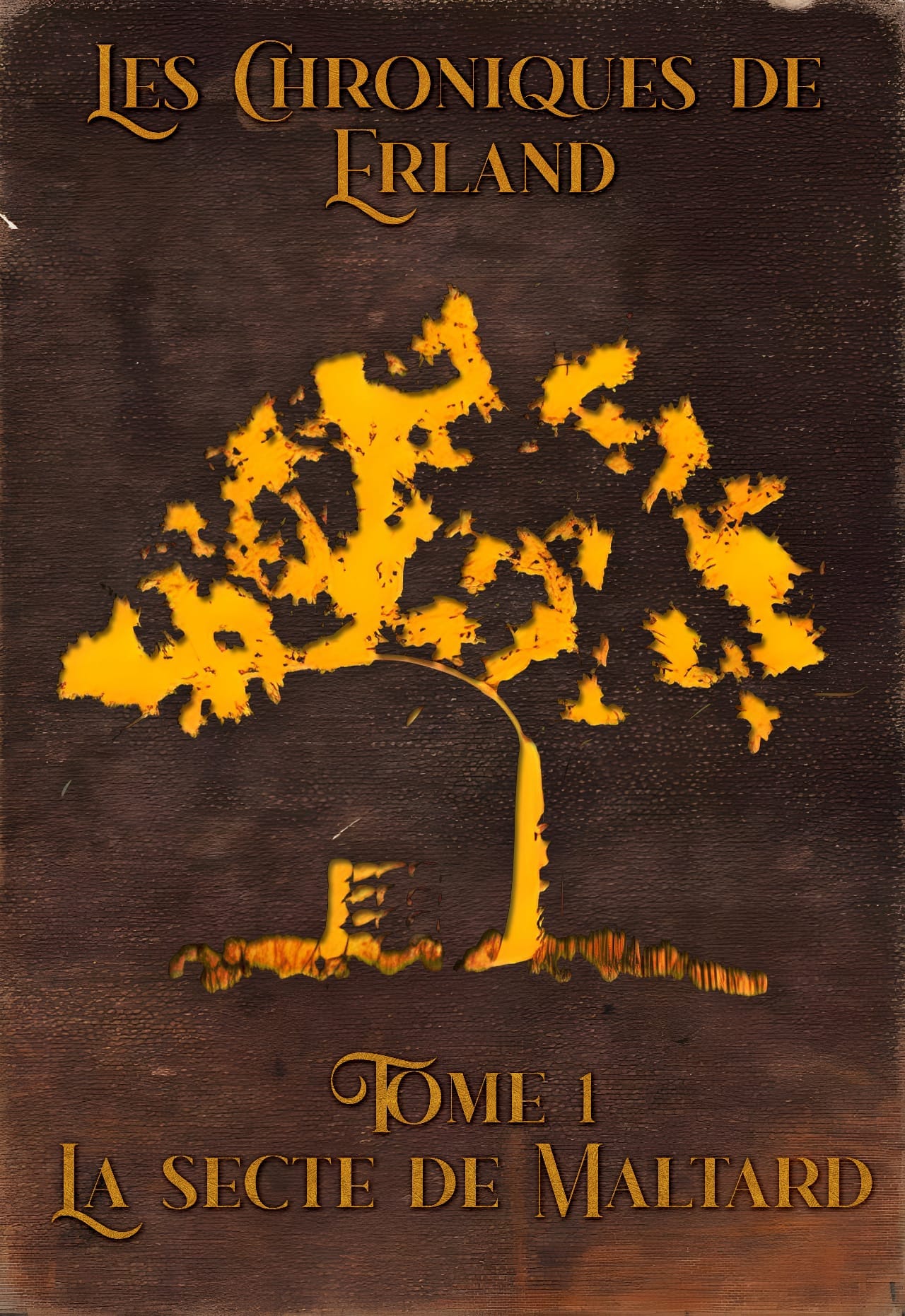 Les Chroniques de Erland Tome 1 : La secte de Maltard
