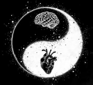 (PDF) Taller Protocolo Estoico para la Sanacion Del Abuso Narsicista