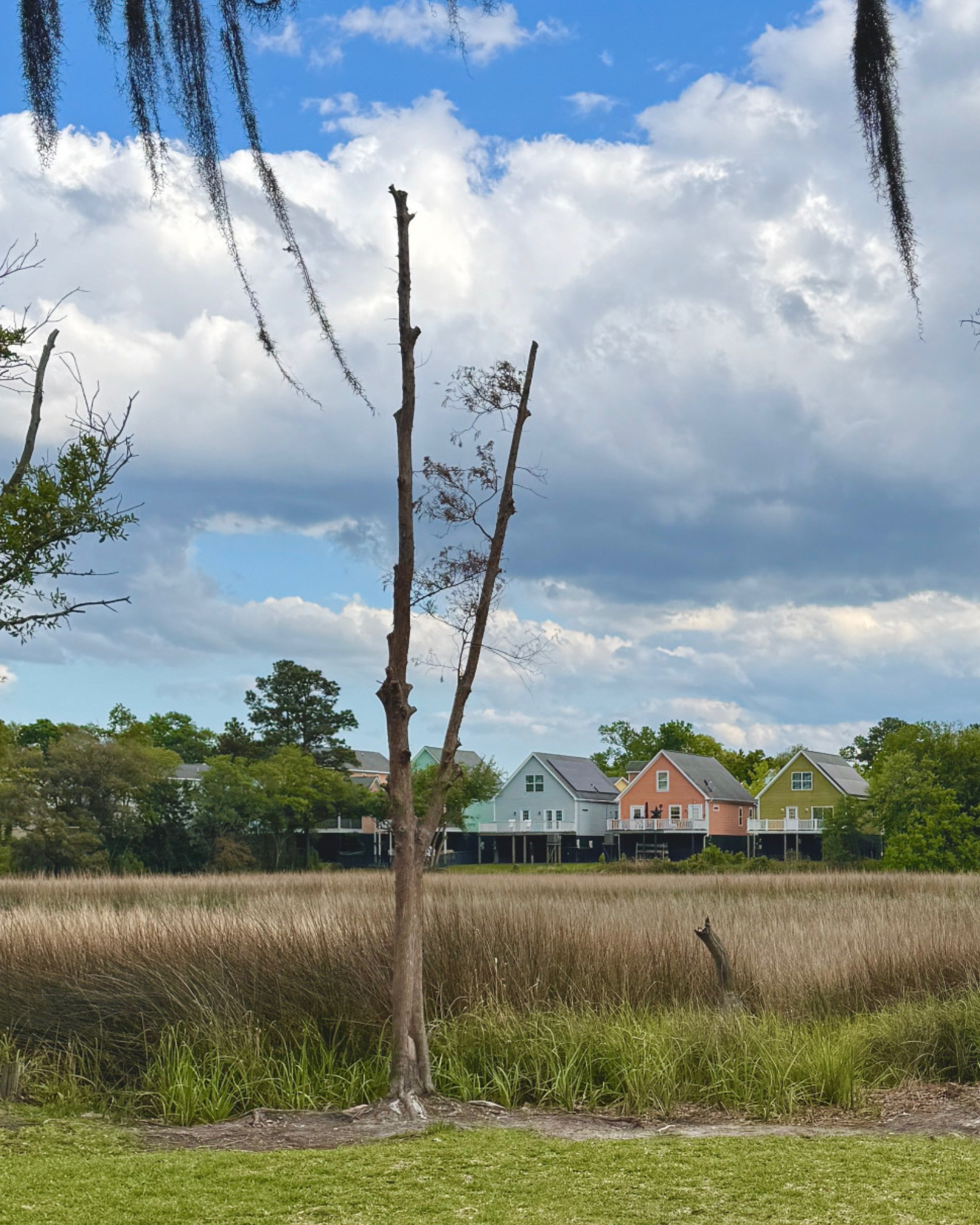 Lowcountry Livin'