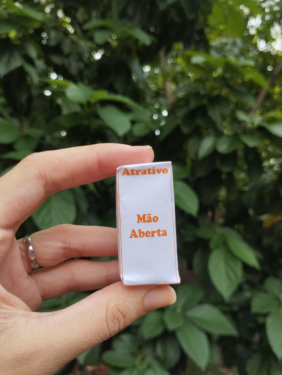Mão Aberta