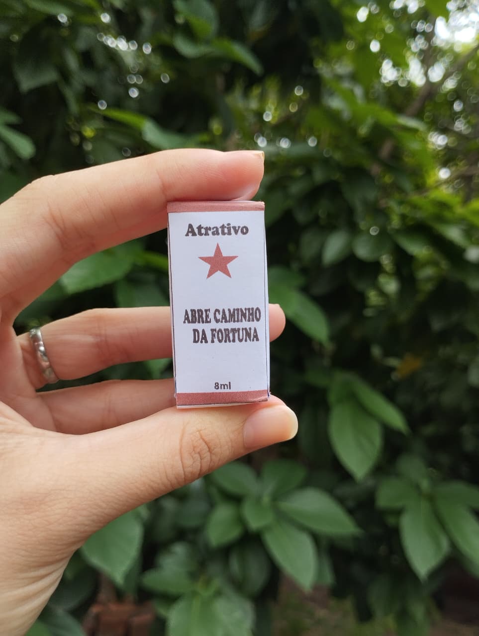 Abre Caminho da Fortuna